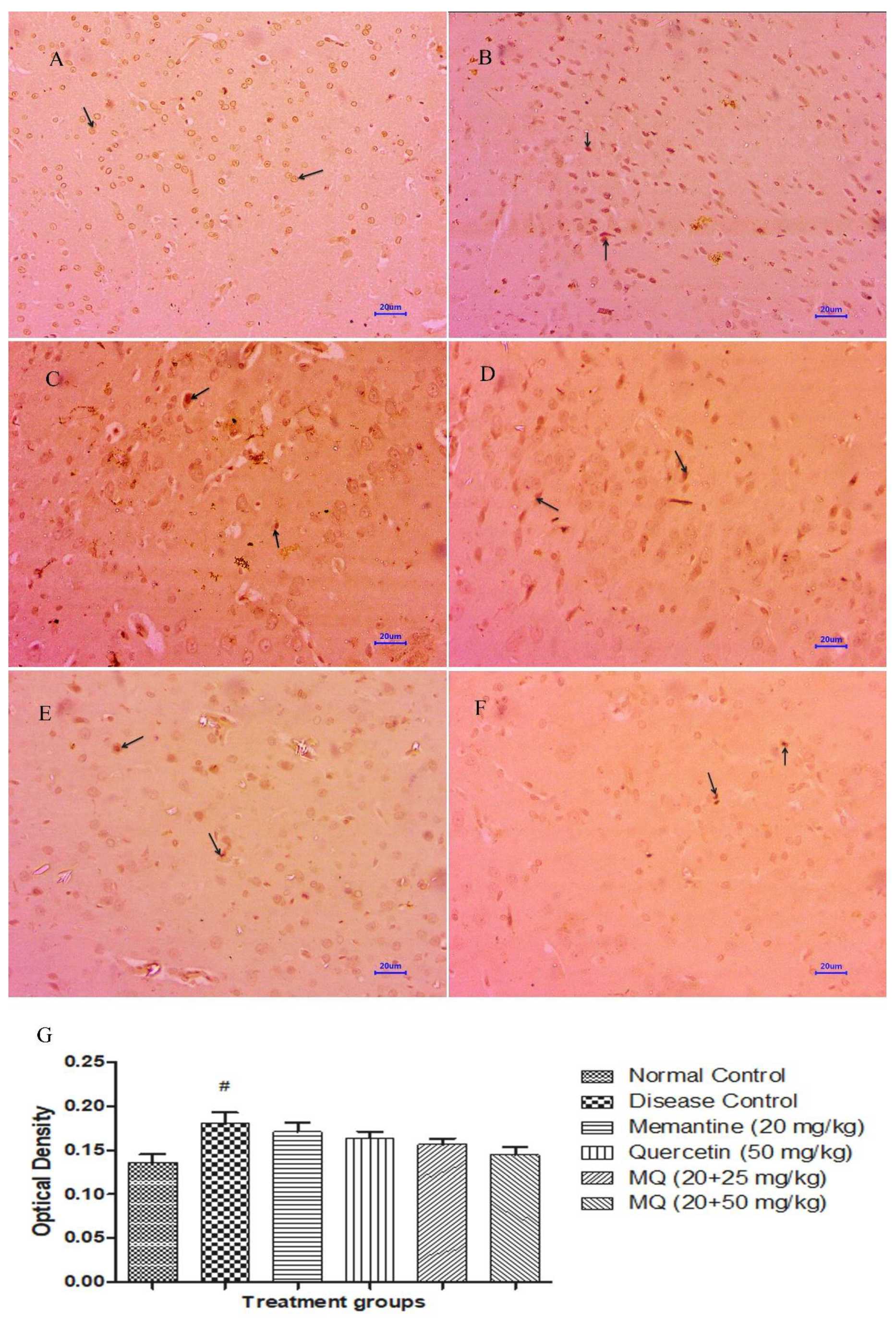 Molecules 28 00417 g011 Molecules 28 00417 g011
