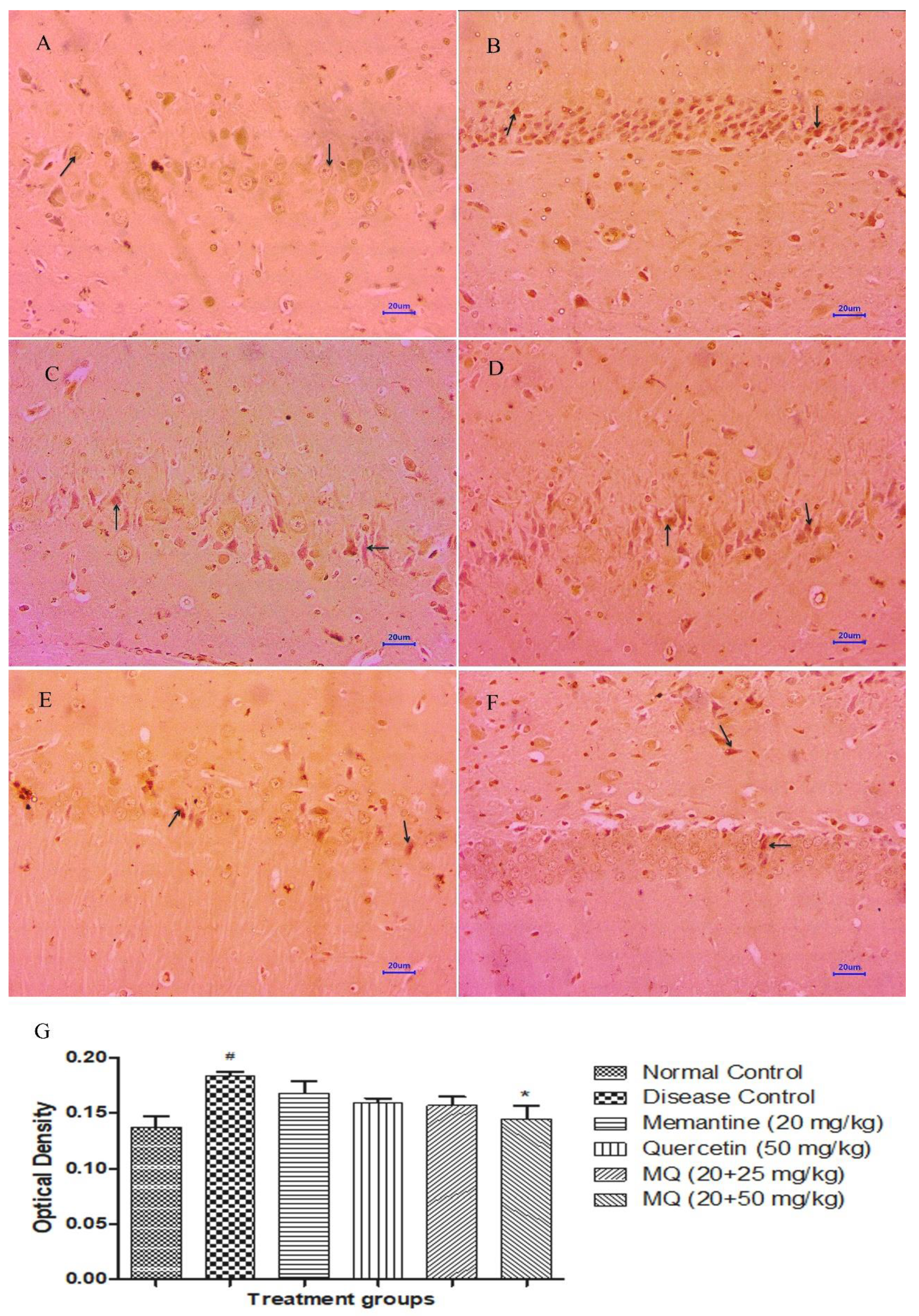 Molecules 28 00417 g012 Molecules 28 00417 g012