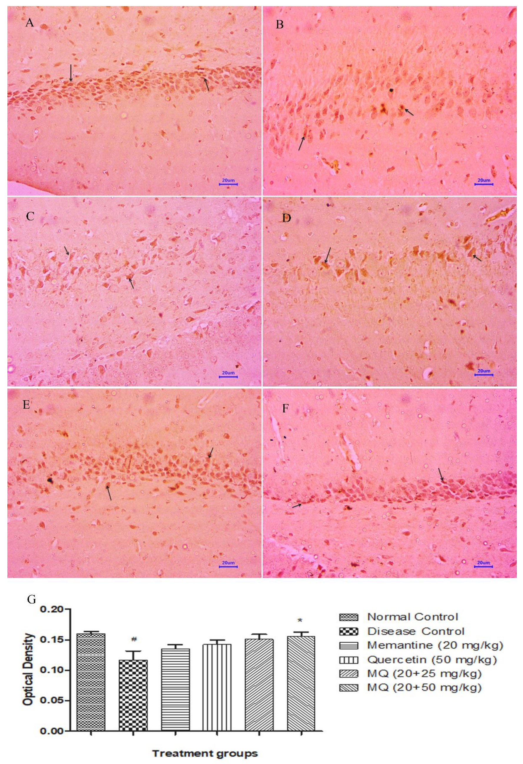 Molecules 28 00417 g014 Molecules 28 00417 g014