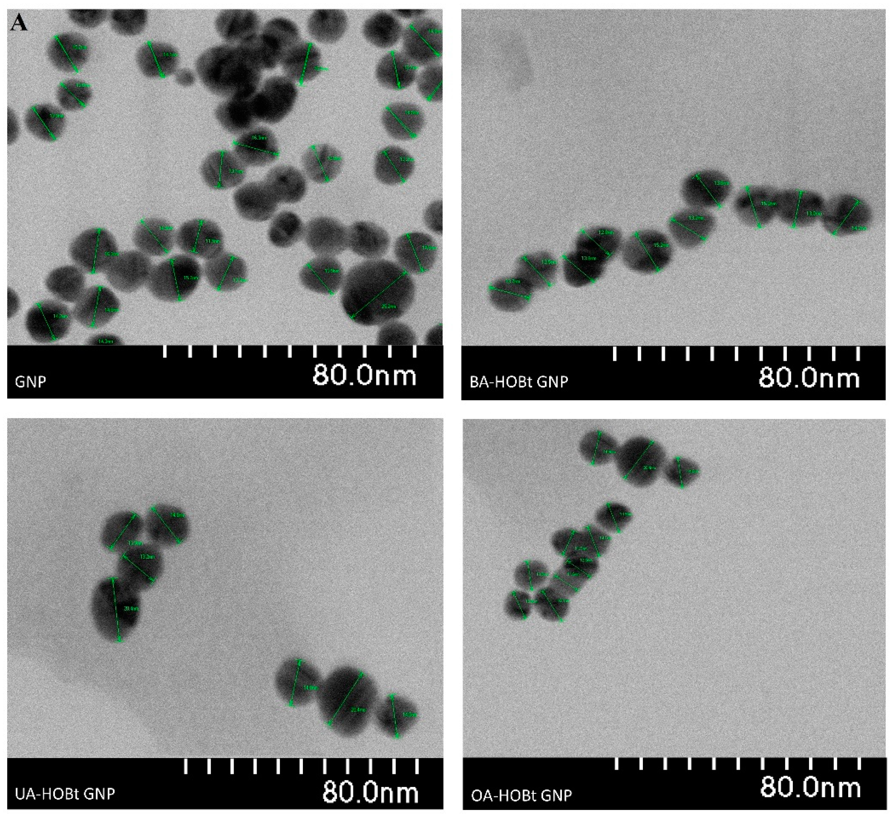 Molecules 28 00421 g004a Molecules 28 00421 g004a