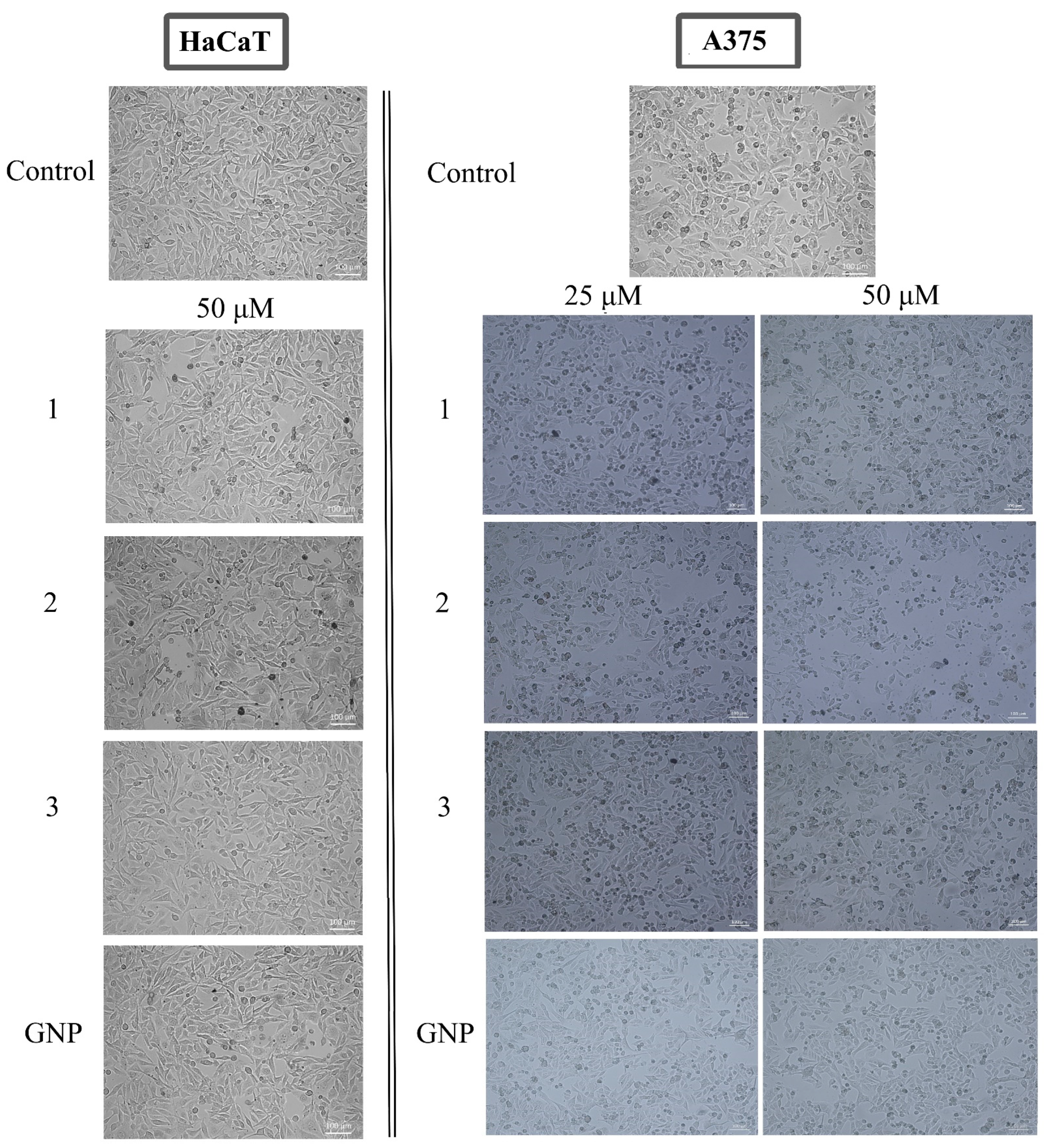Molecules 28 00421 g007 Molecules 28 00421 g007
