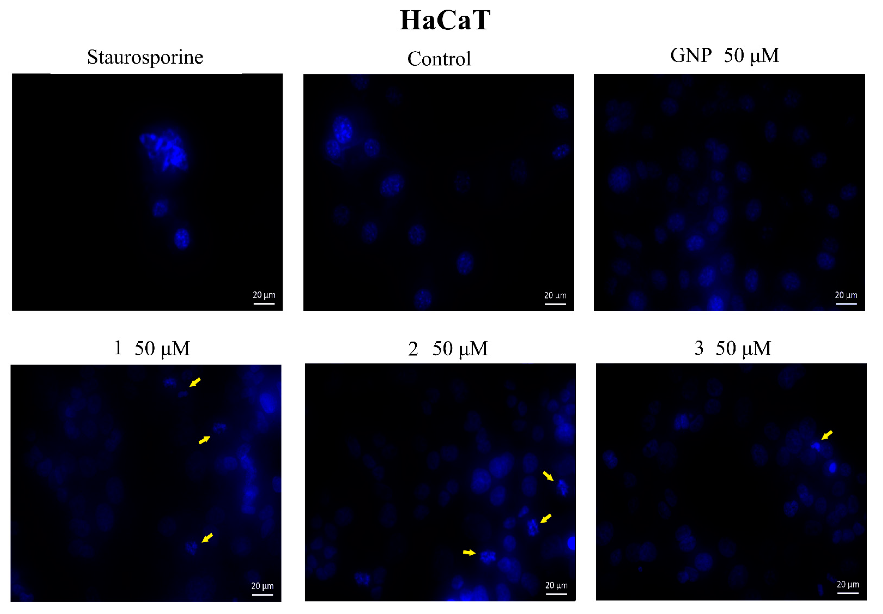 Molecules 28 00421 g008 Molecules 28 00421 g008
