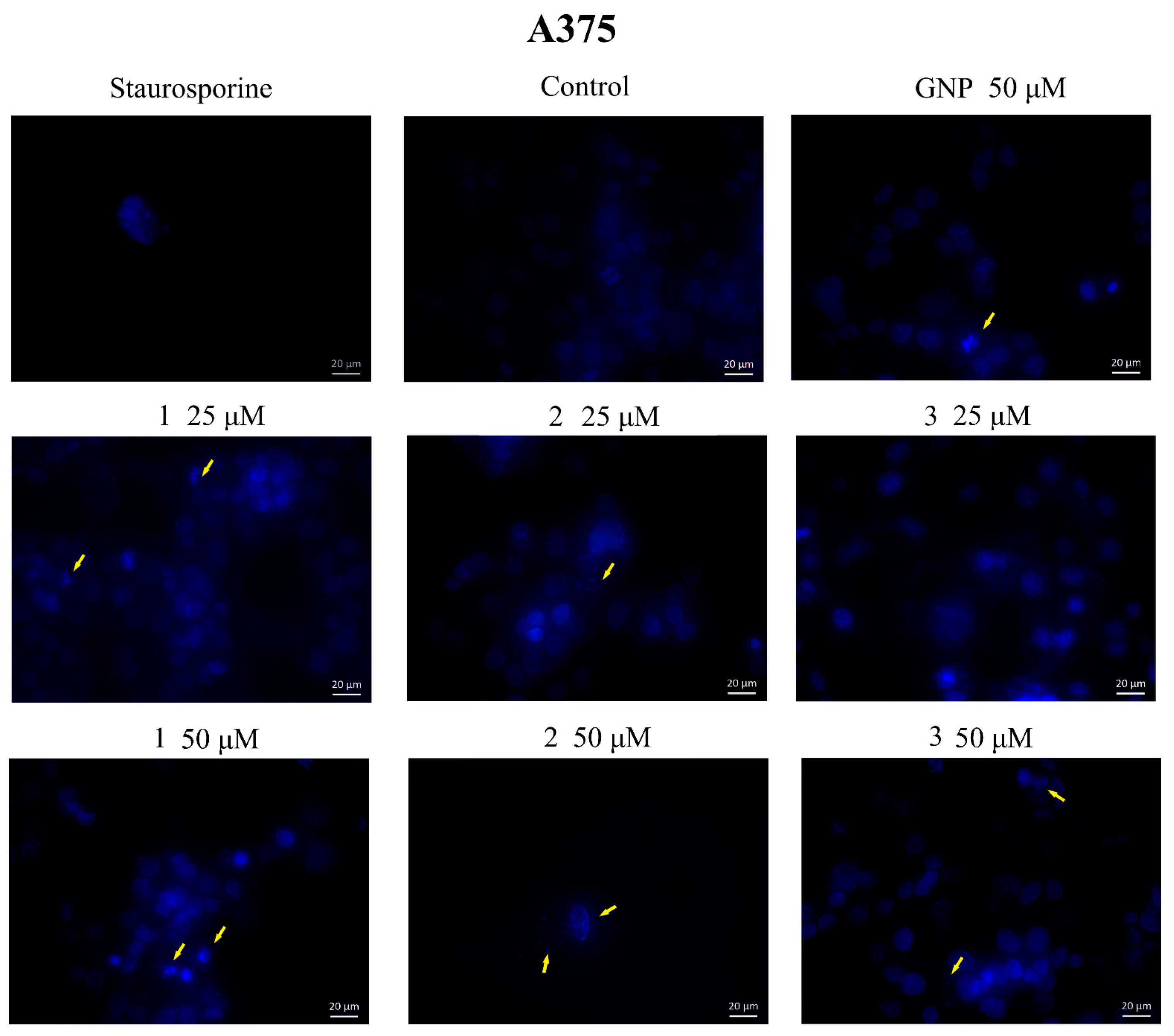 Molecules 28 00421 g009 Molecules 28 00421 g009