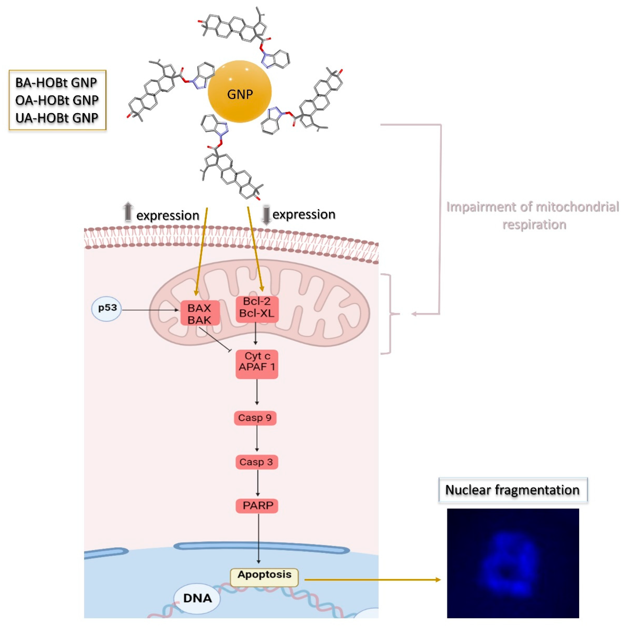 Molecules 28 00421 g013 Molecules 28 00421 g013