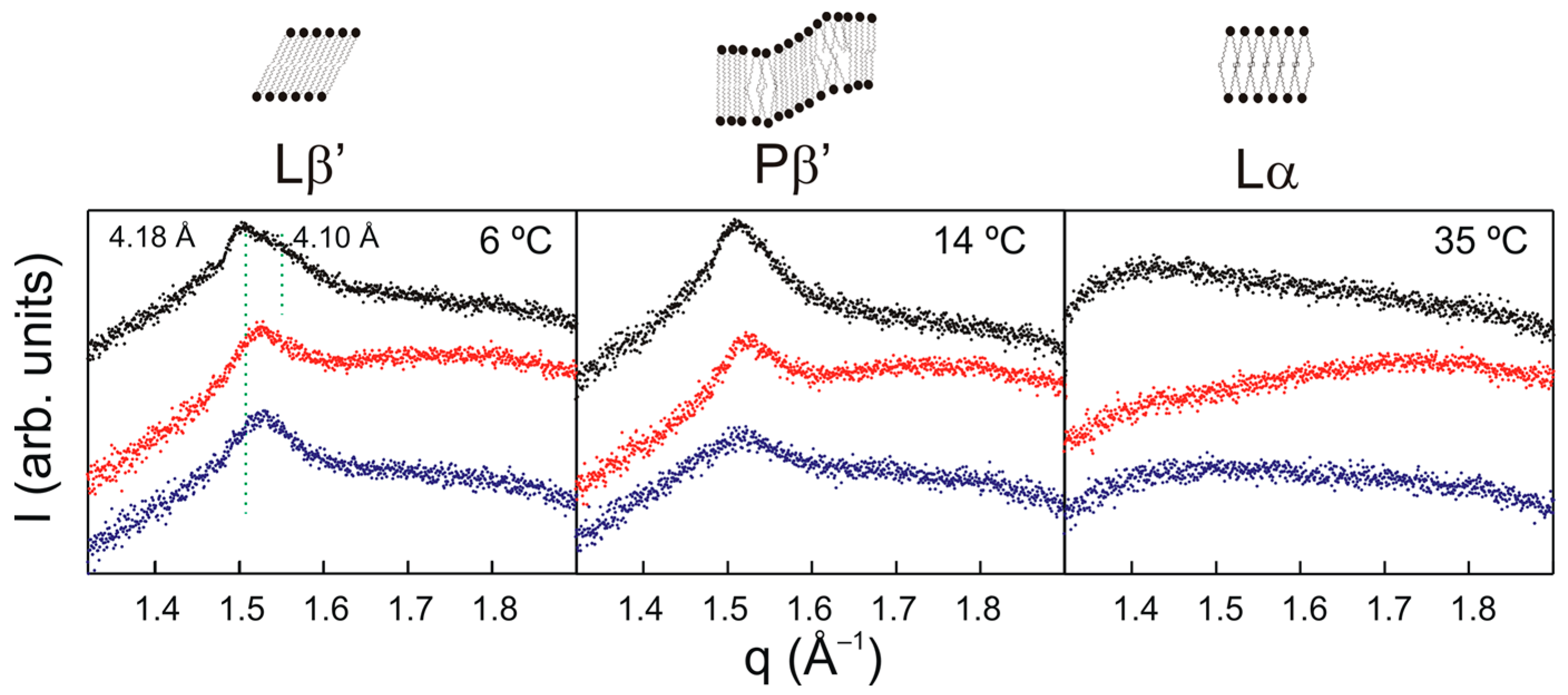 Molecules 28 00422 g003