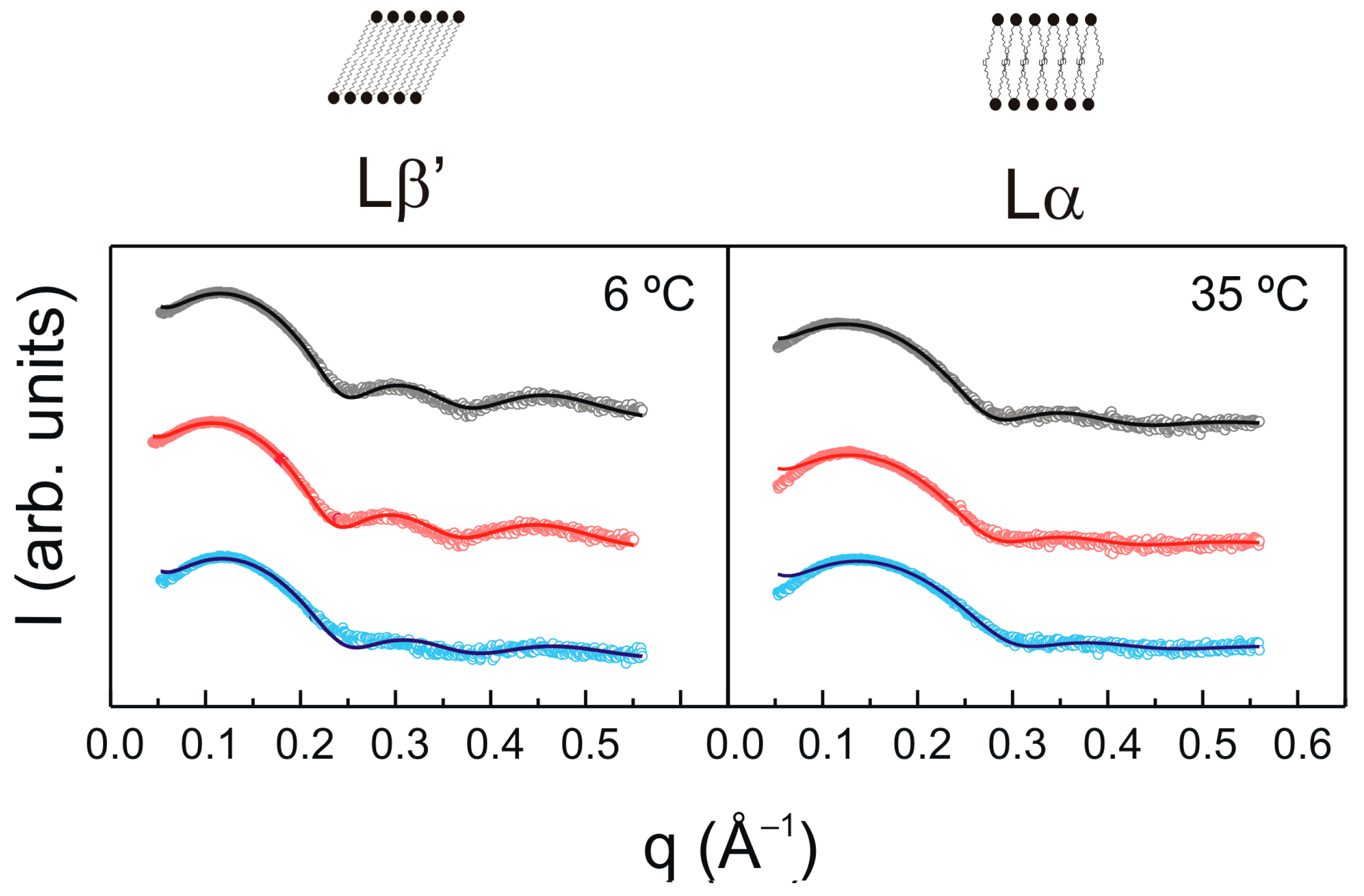 Molecules 28 00422 g004