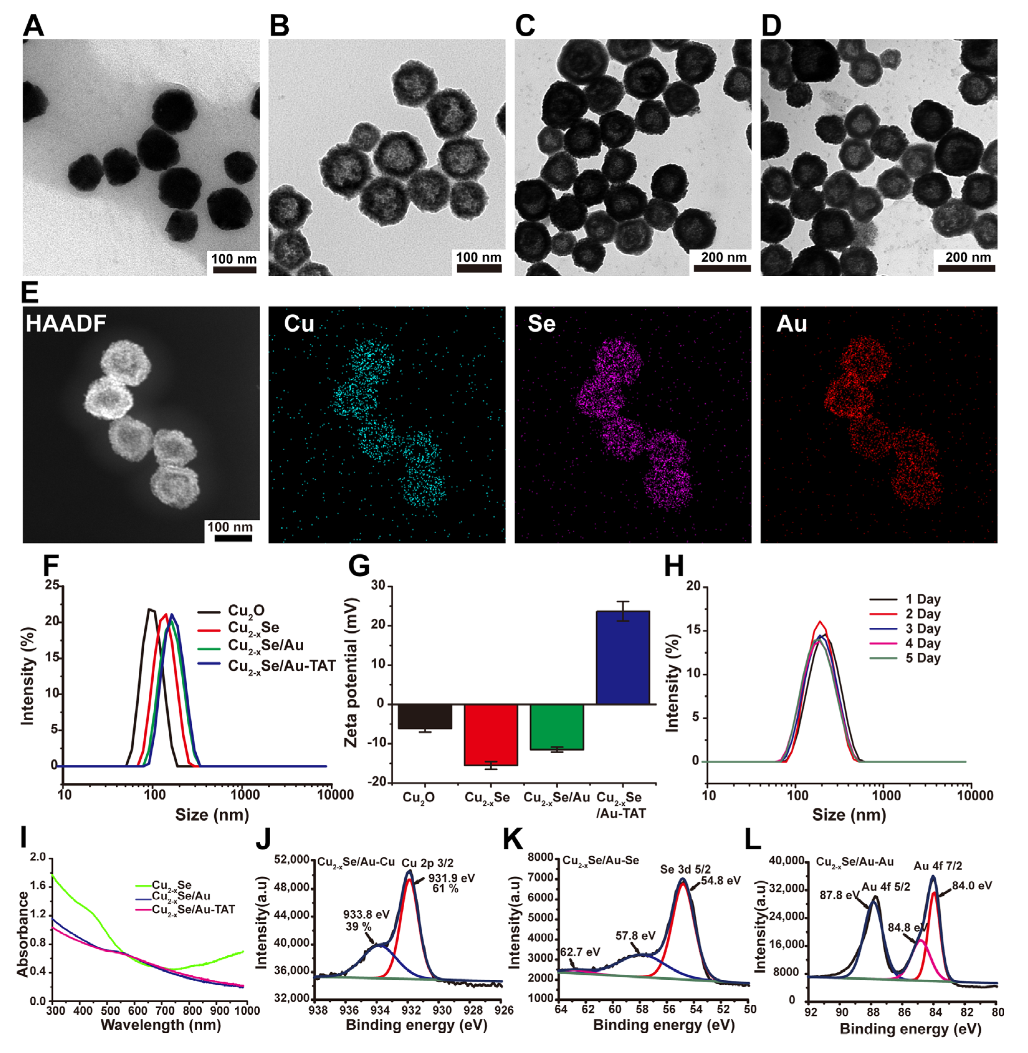 Molecules 28 00423 g001