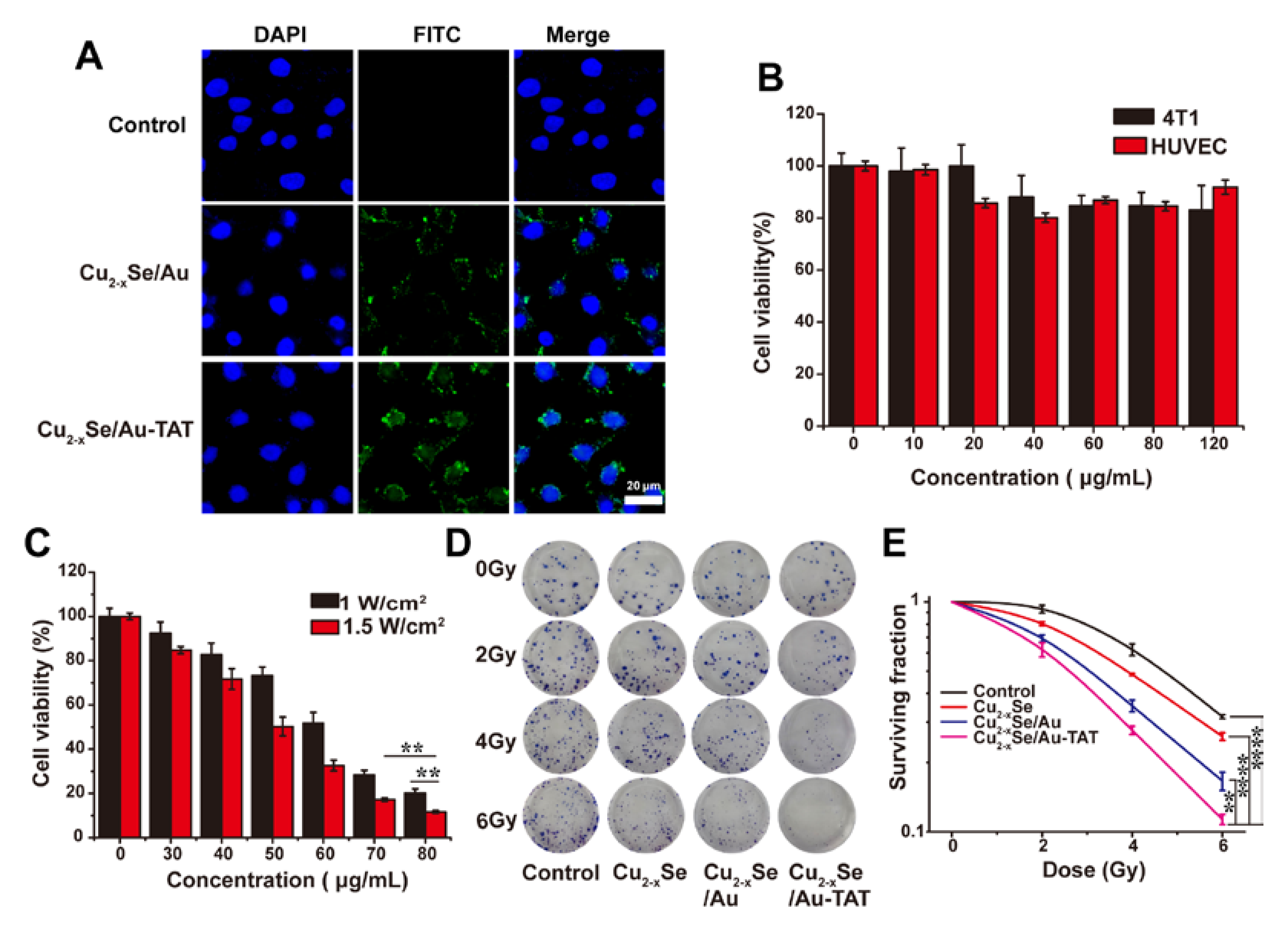Molecules 28 00423 g003