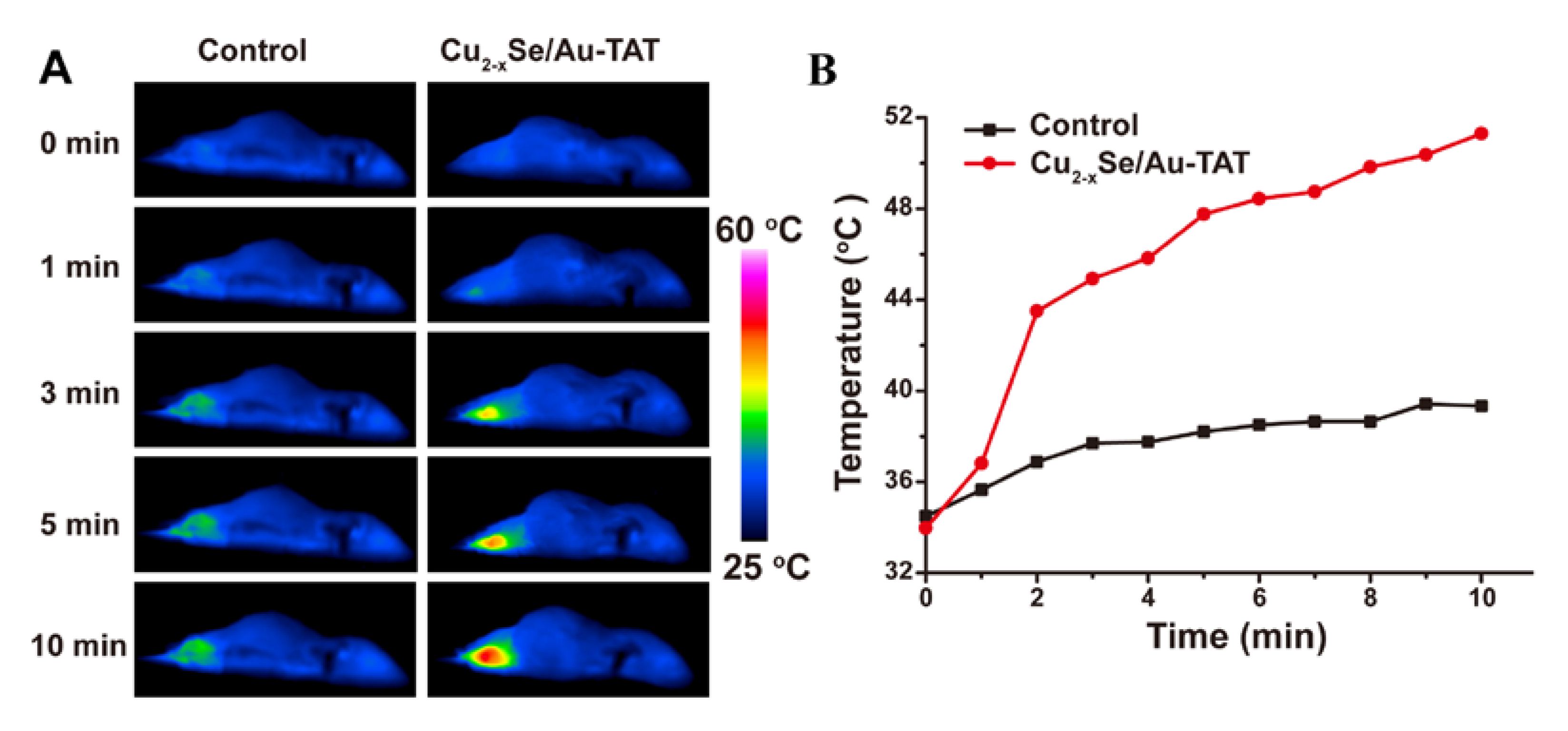Molecules 28 00423 g005