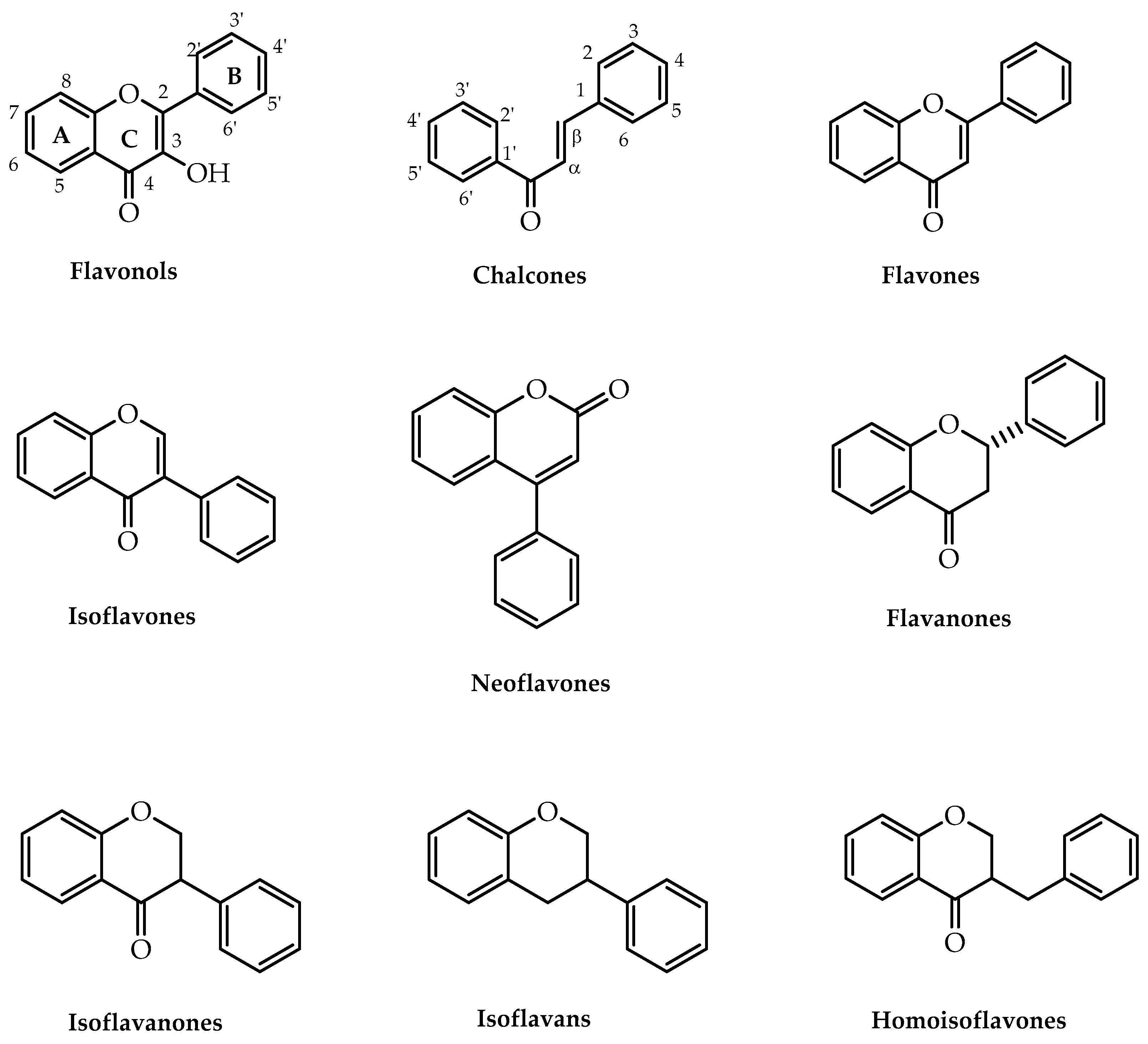 Molecules 28 00426 g001