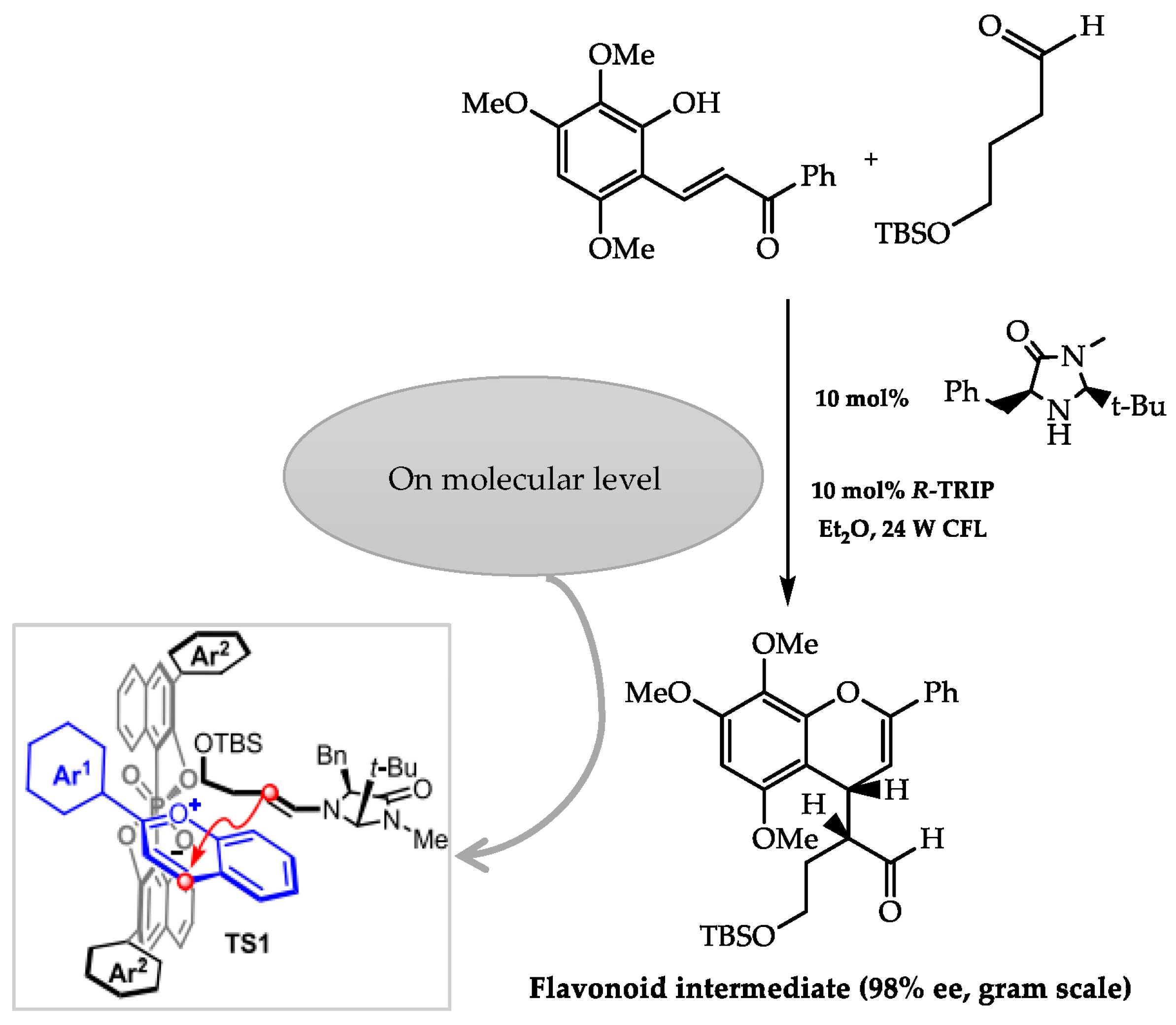 Molecules 28 00426 g017