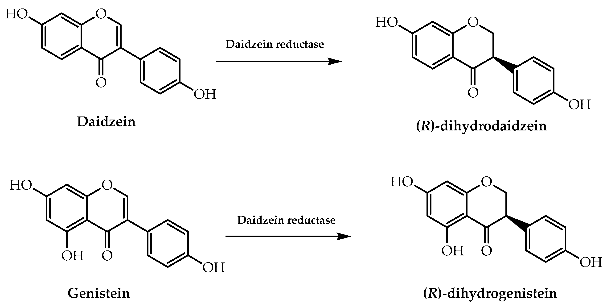 Molecules 28 00426 g026