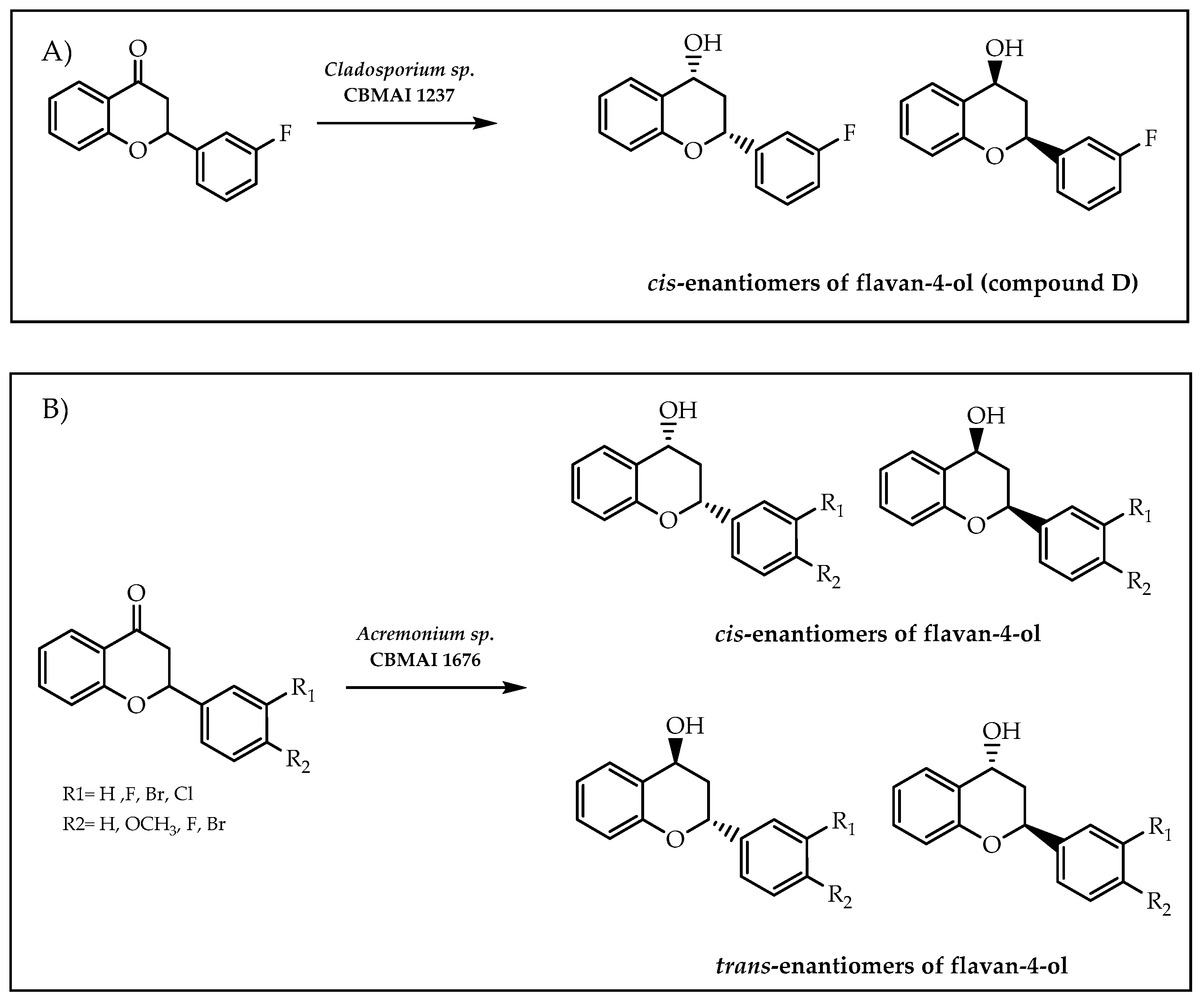 Molecules 28 00426 g028