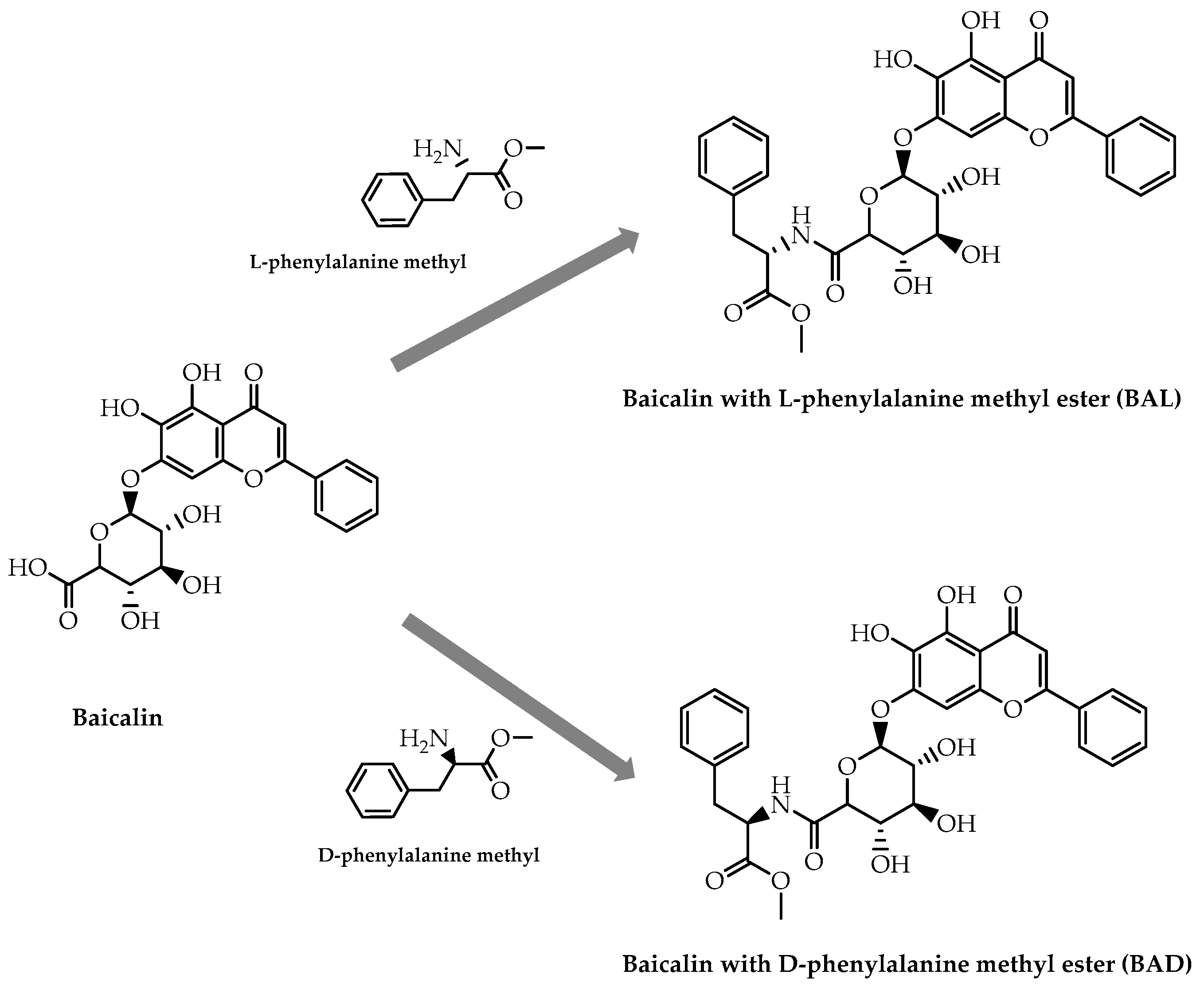 Molecules 28 00426 g033
