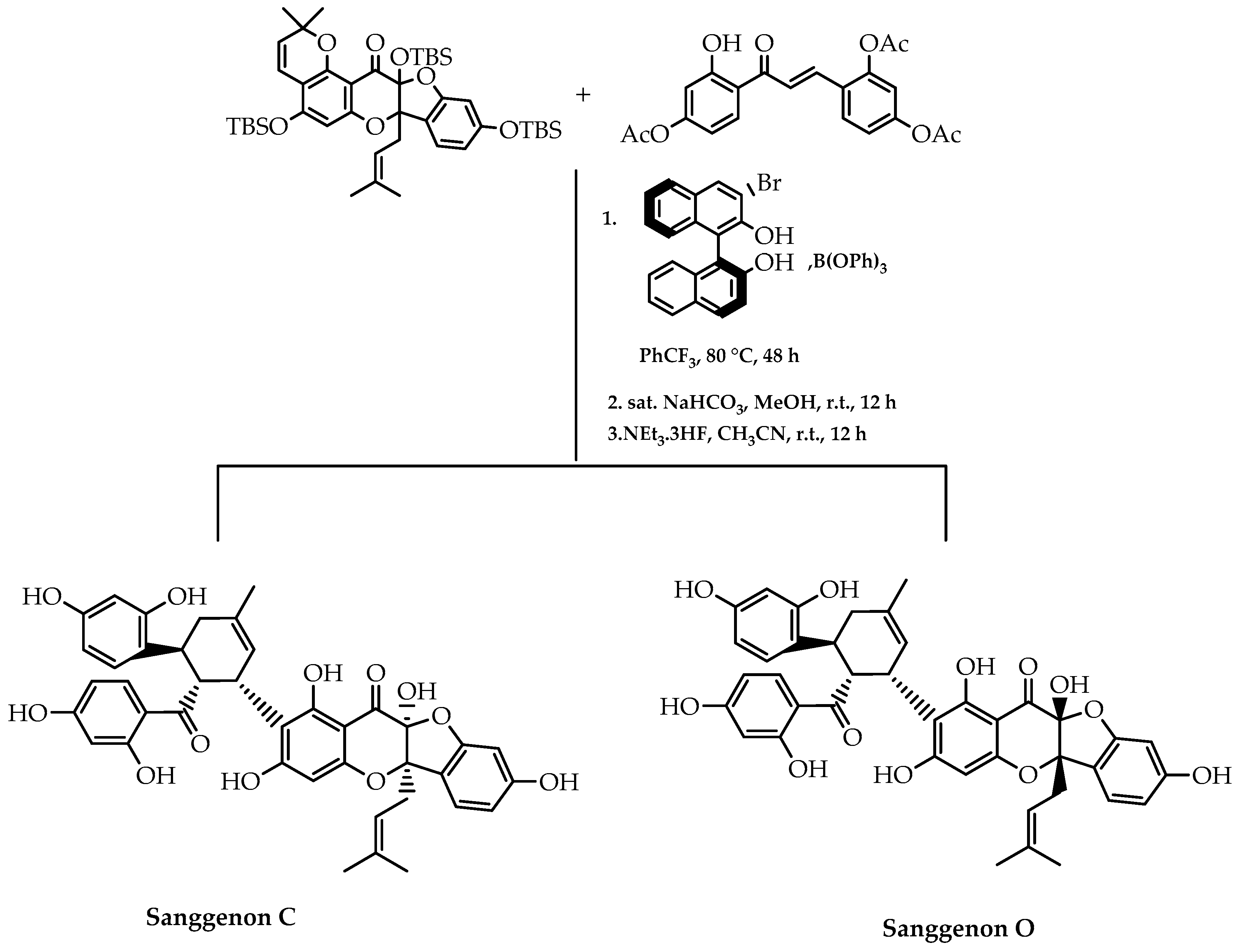 Molecules 28 00426 g037