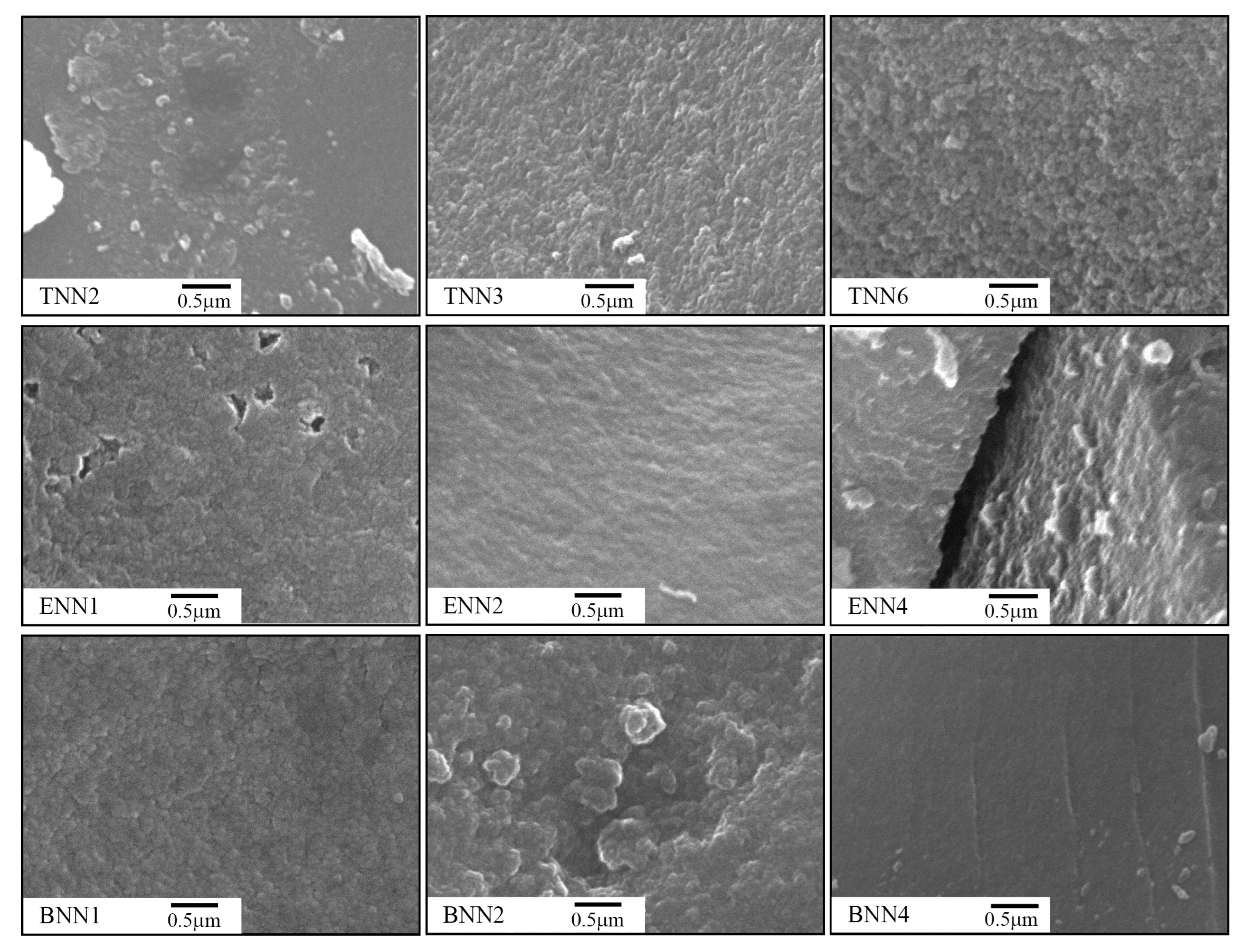 Molecules 28 00430 g002