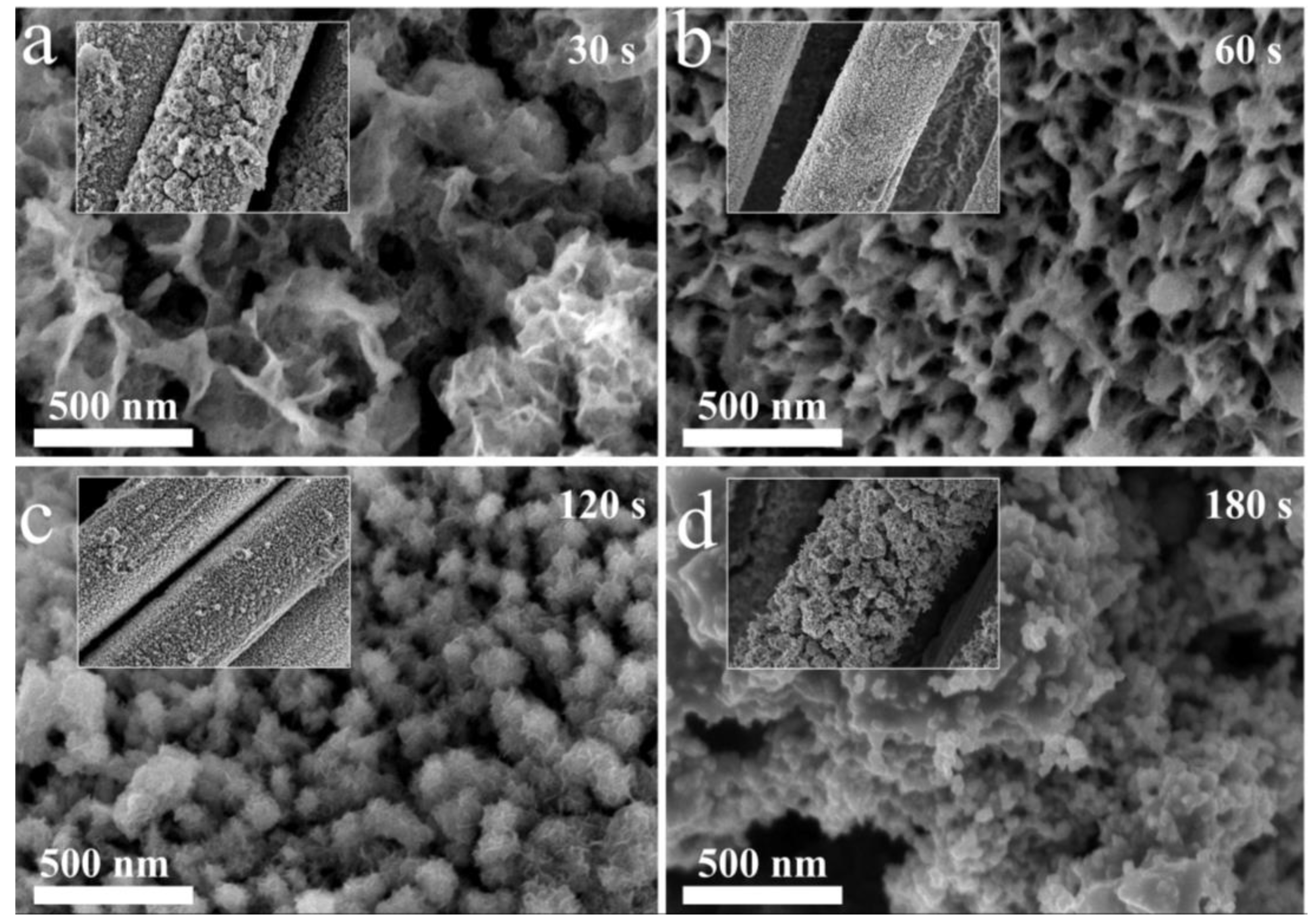 Molecules 28 00434 g004