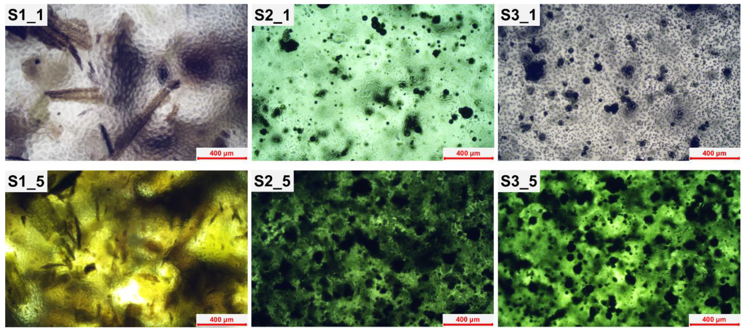 Molecules 28 00436 g003 Molecules 28 00436 g003