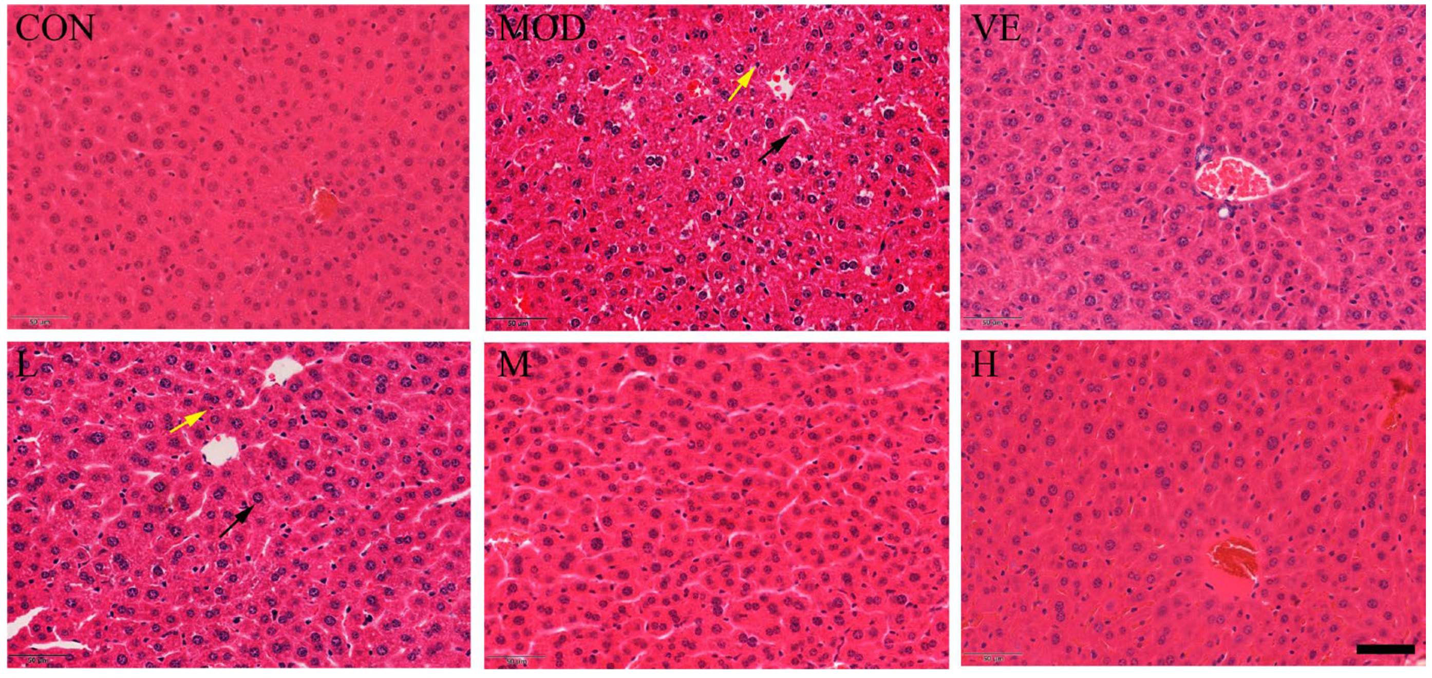 Molecules 28 00443 g001