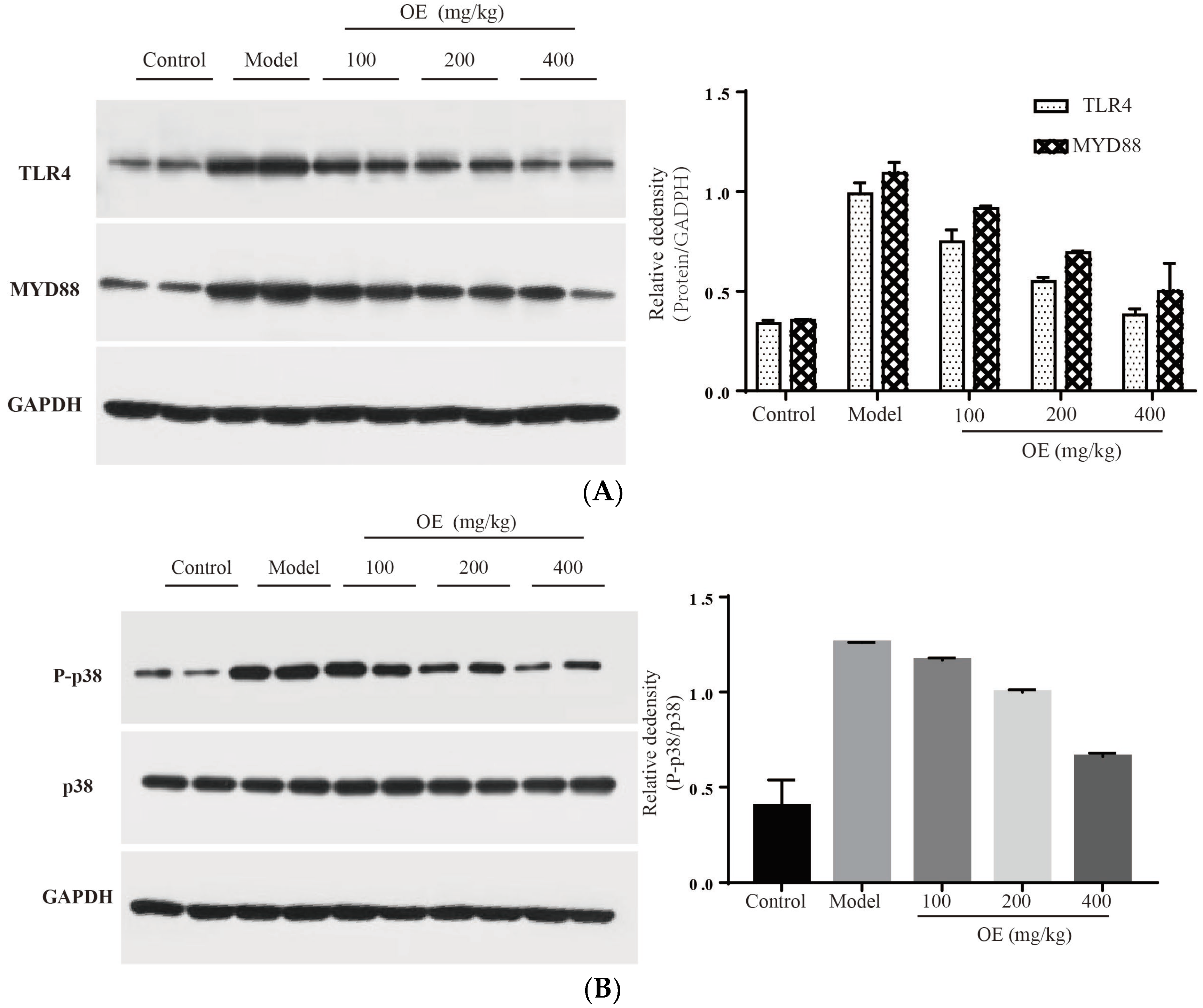 Molecules 28 00443 g006a