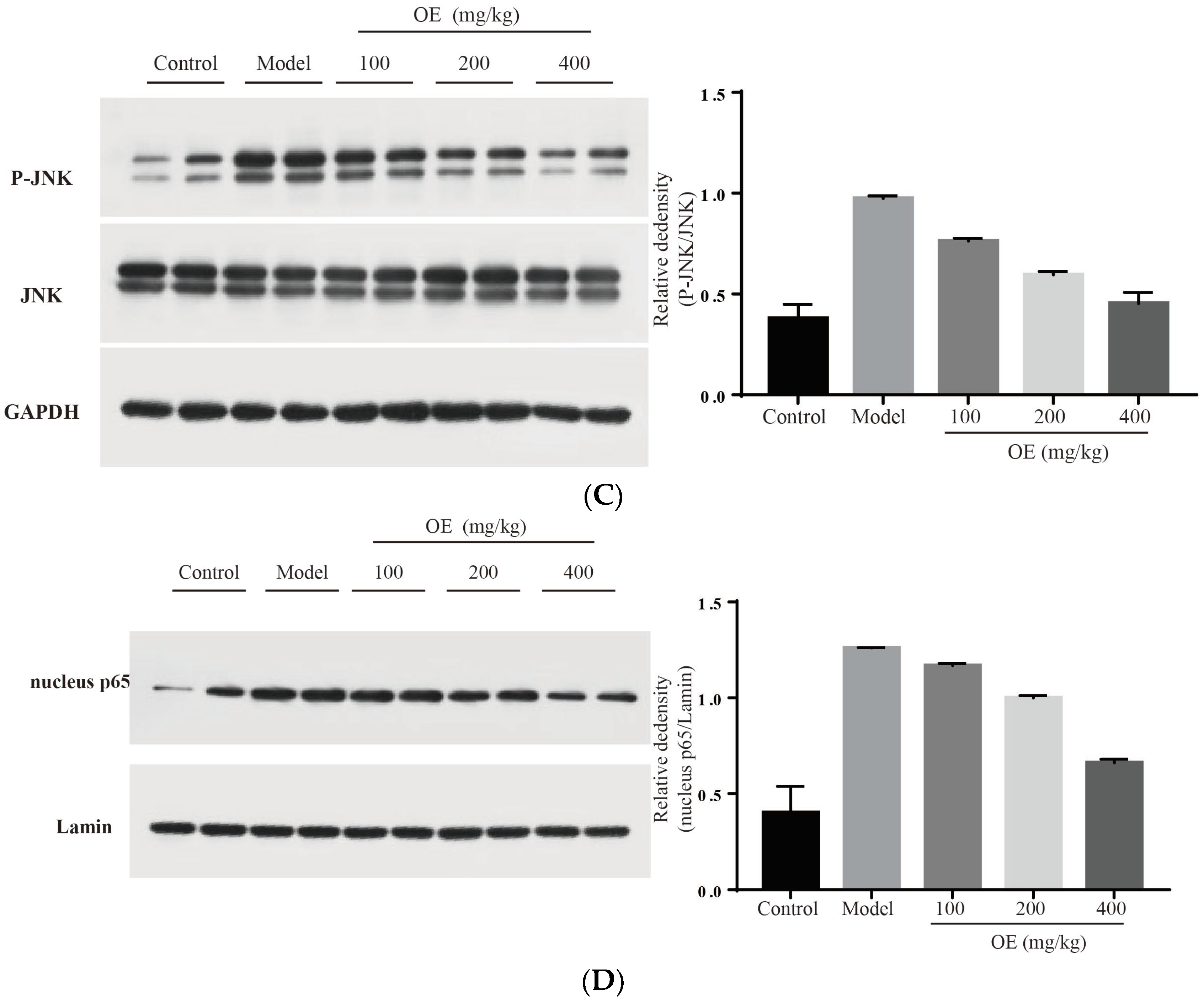 Molecules 28 00443 g006b