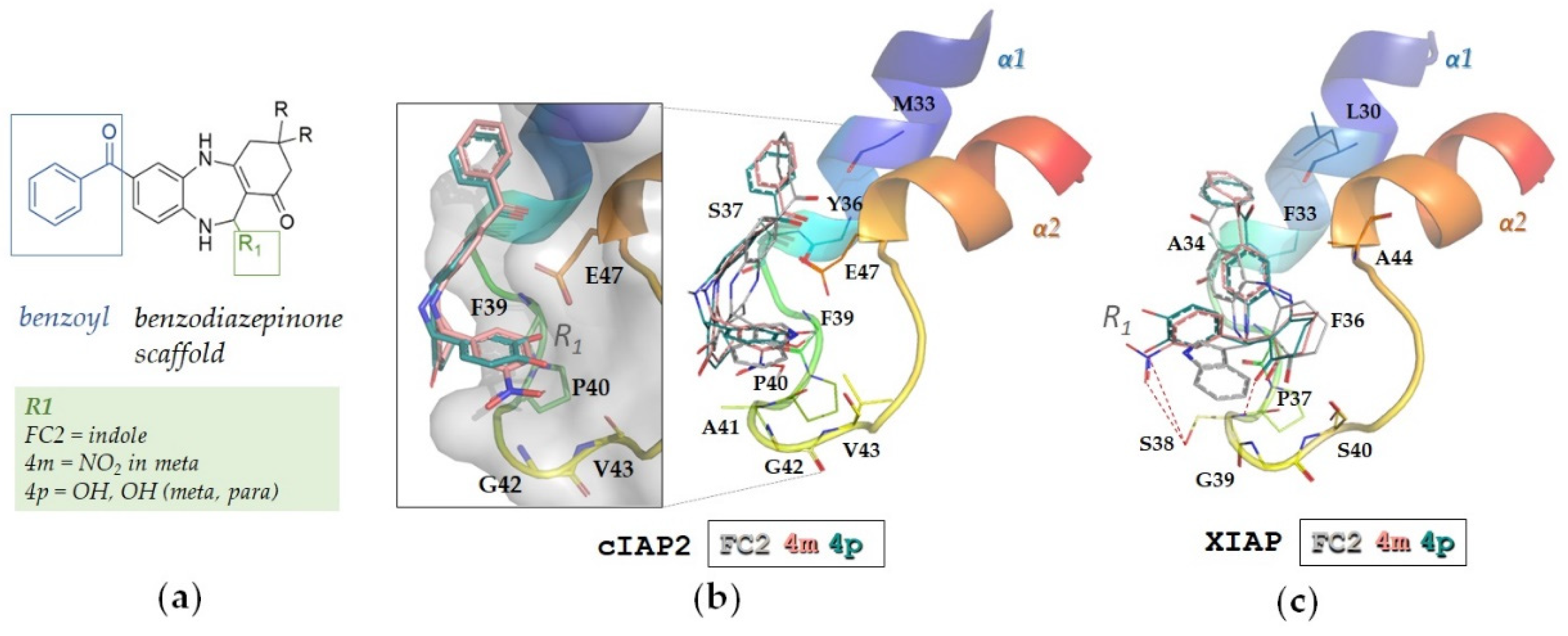 Molecules 28 00446 g002 Molecules 28 00446 g002