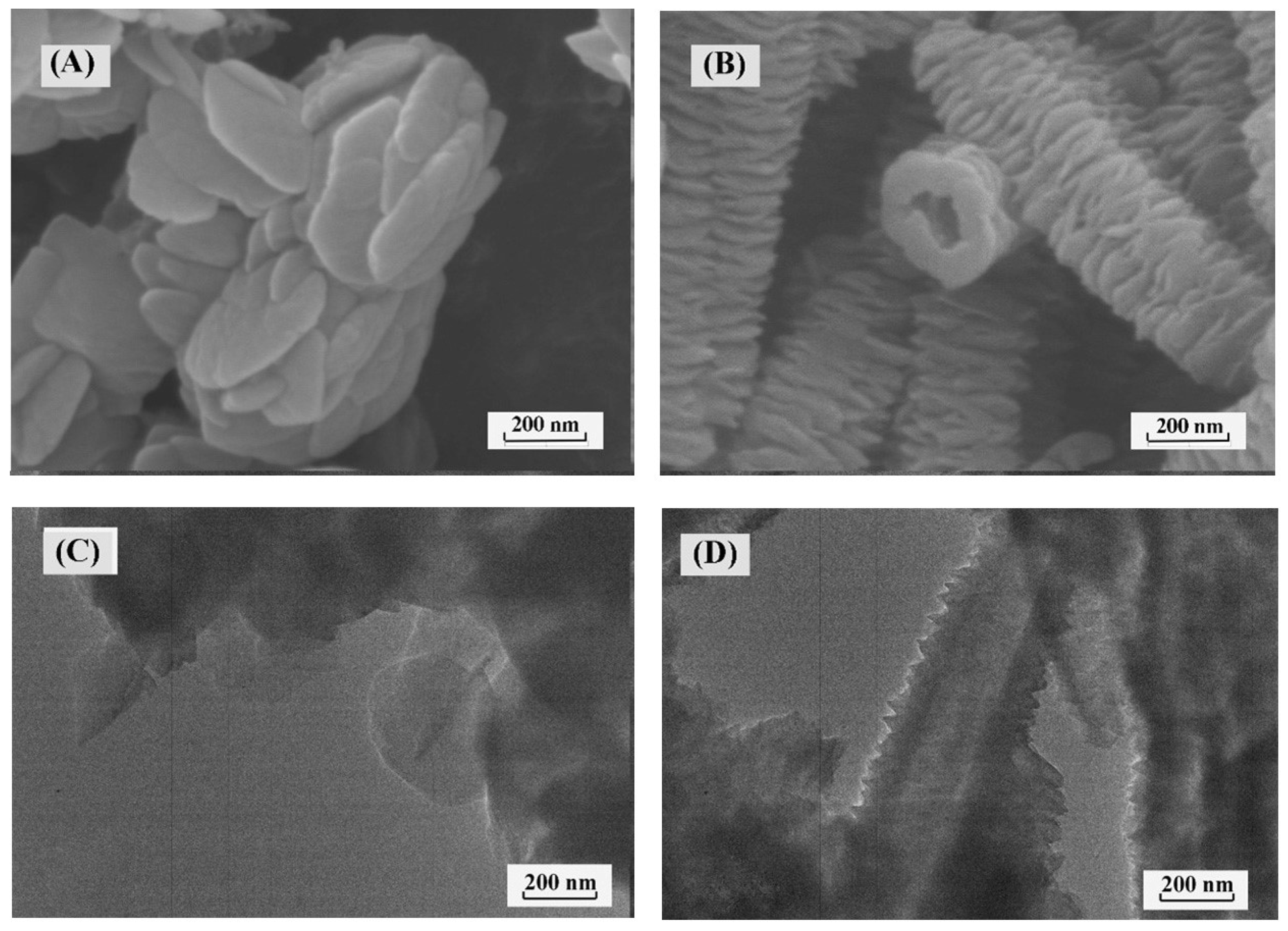 Molecules 28 00449 g003 Molecules 28 00449 g003