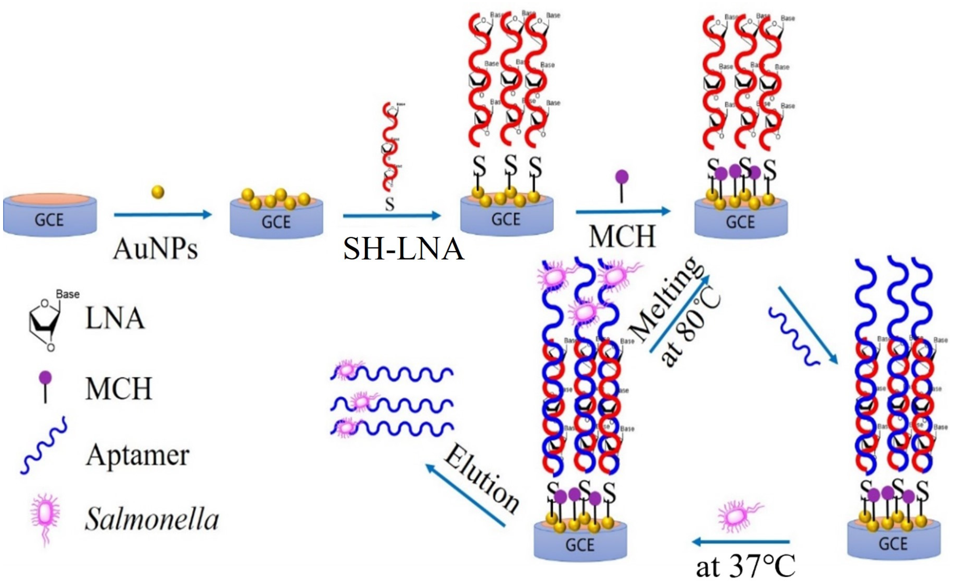 Molecules 28 00450 g007