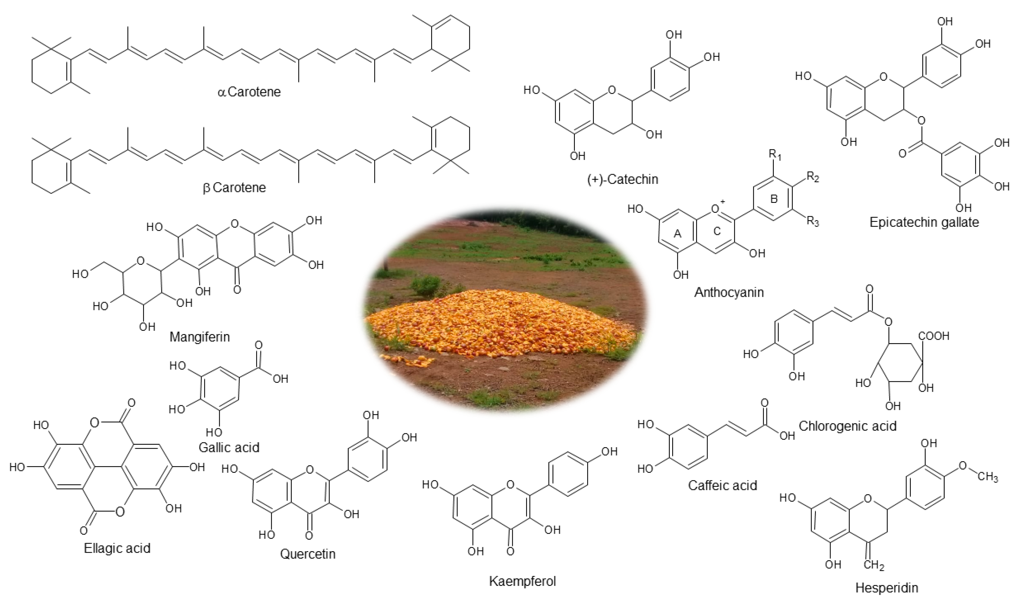 Molecules 28 00458 g003 Molecules 28 00458 g003