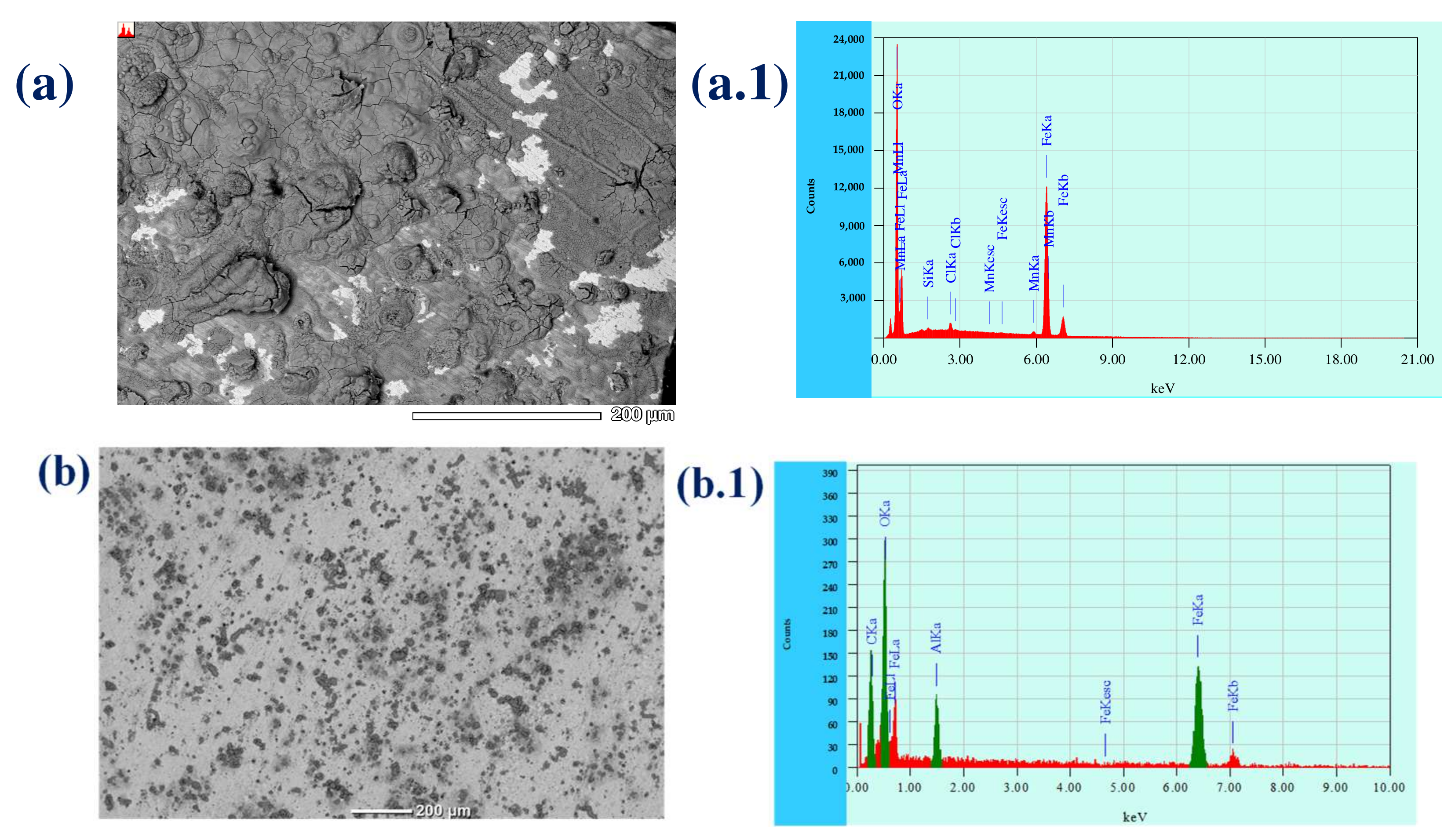 Molecules 28 00460 g010a