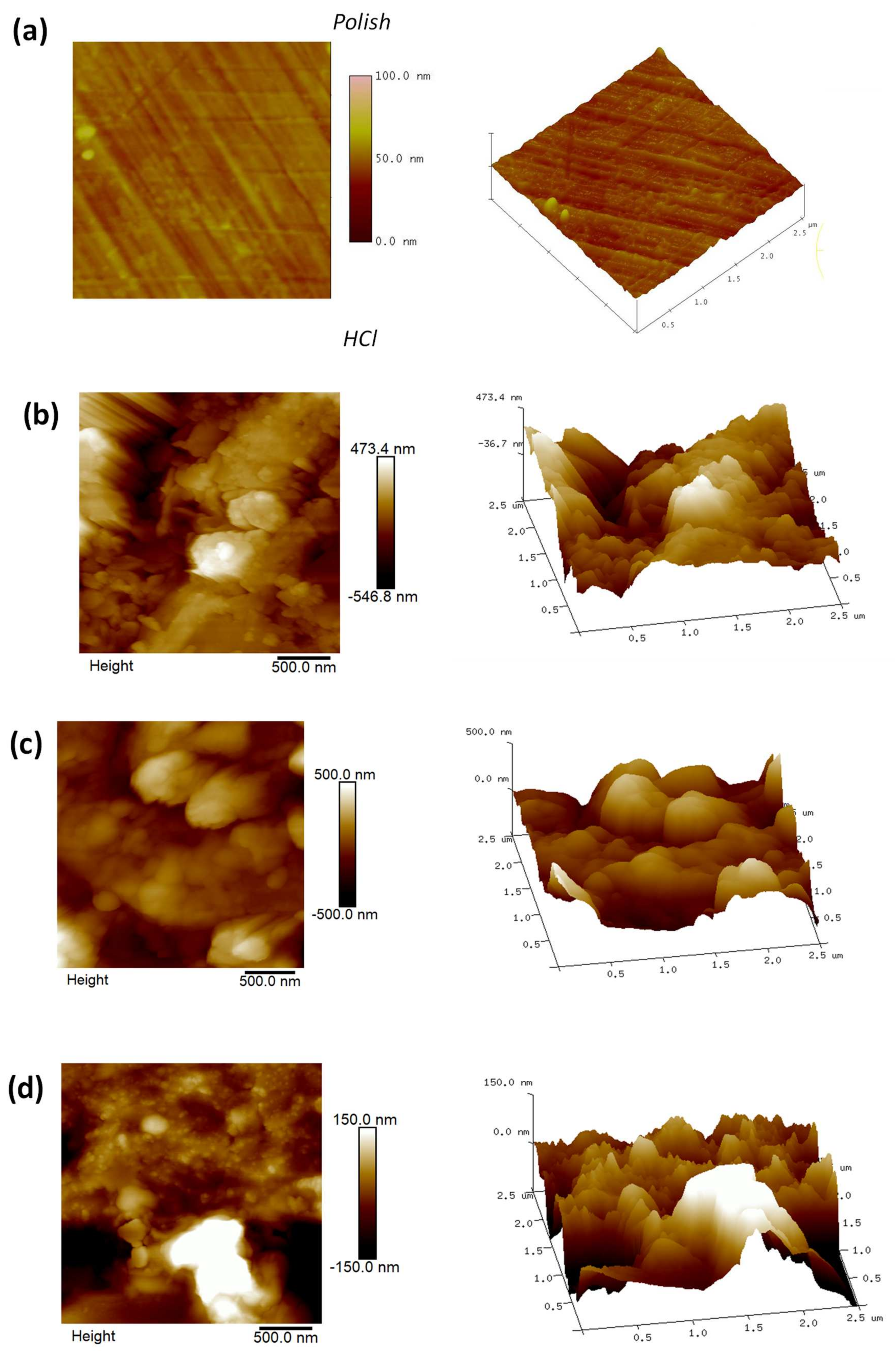 Molecules 28 00460 g011