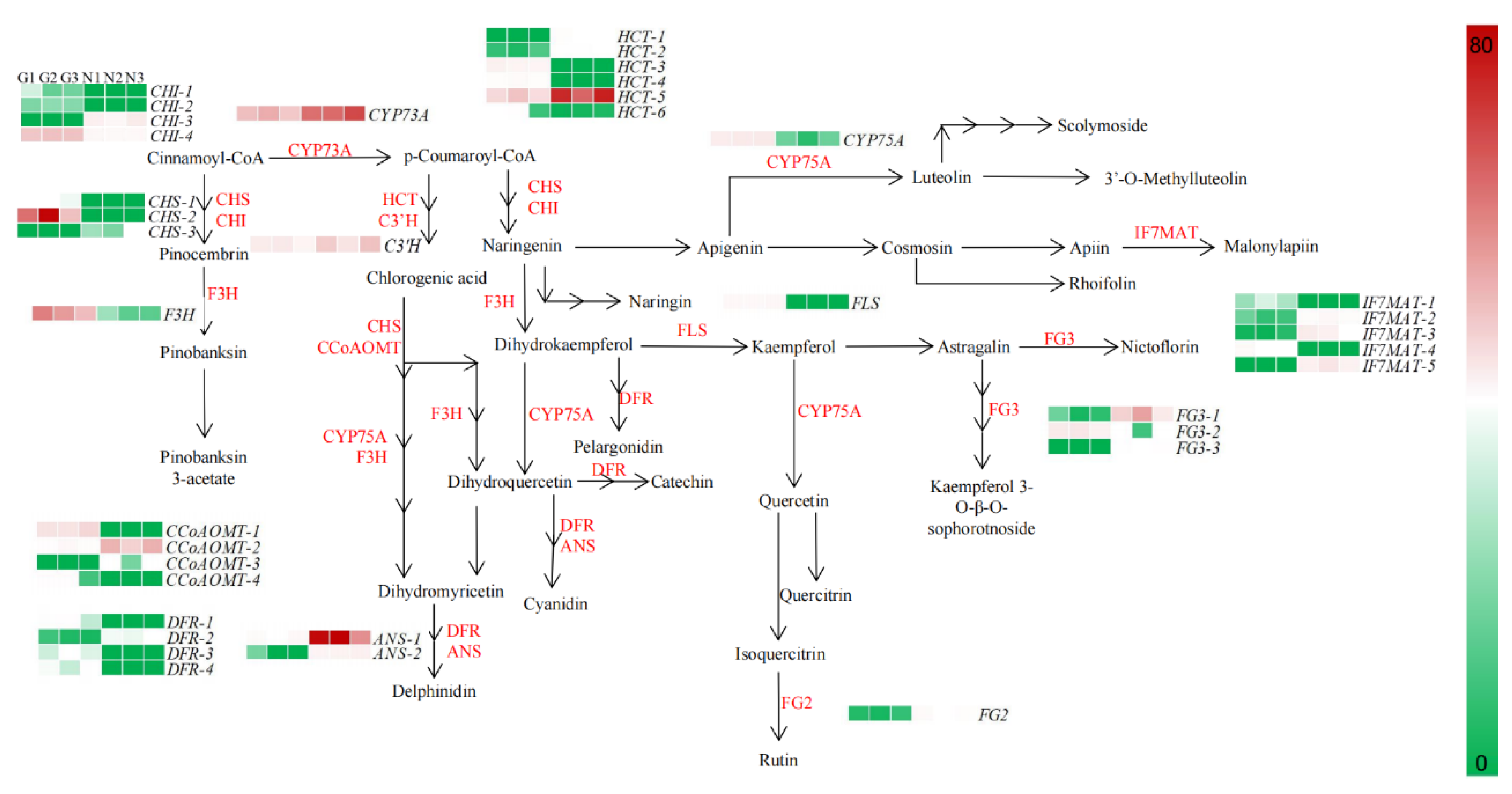 Molecules 28 00462 g006 Molecules 28 00462 g006