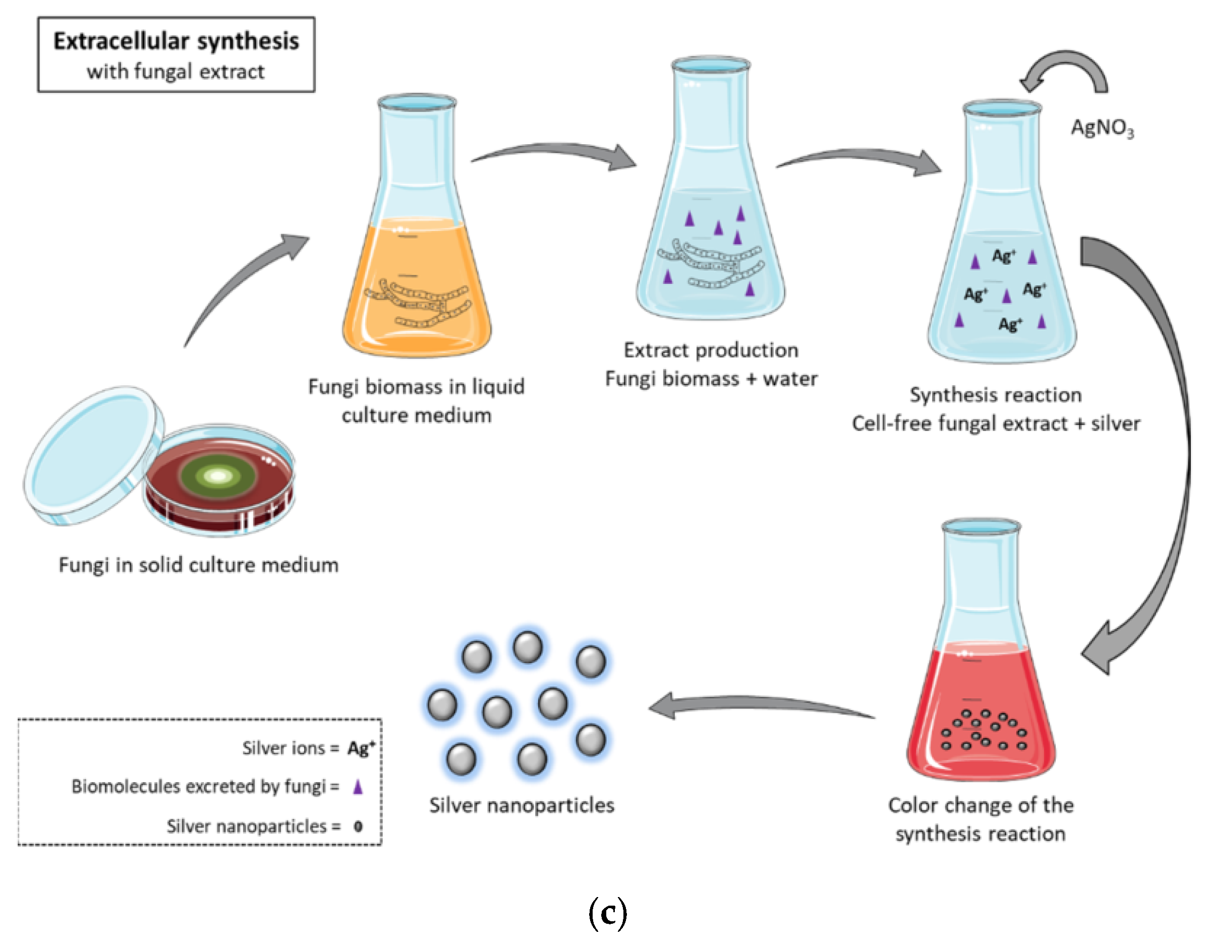 Molecules 28 00463 g006b