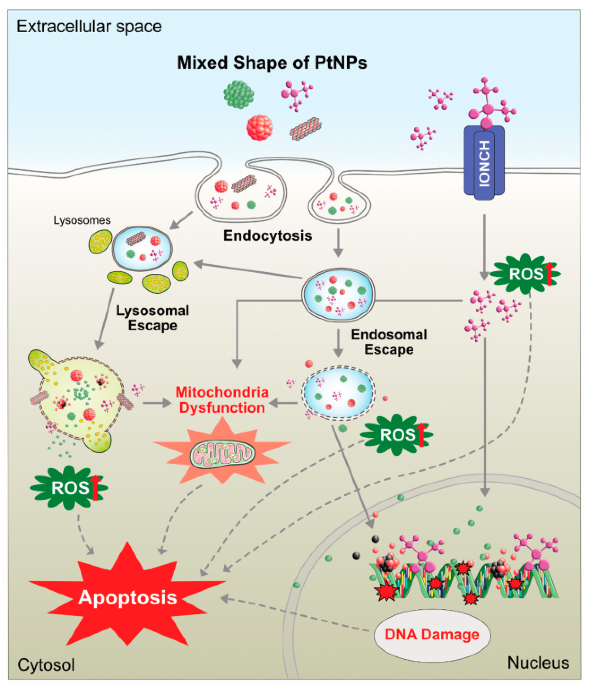 Molecules 28 00463 g009