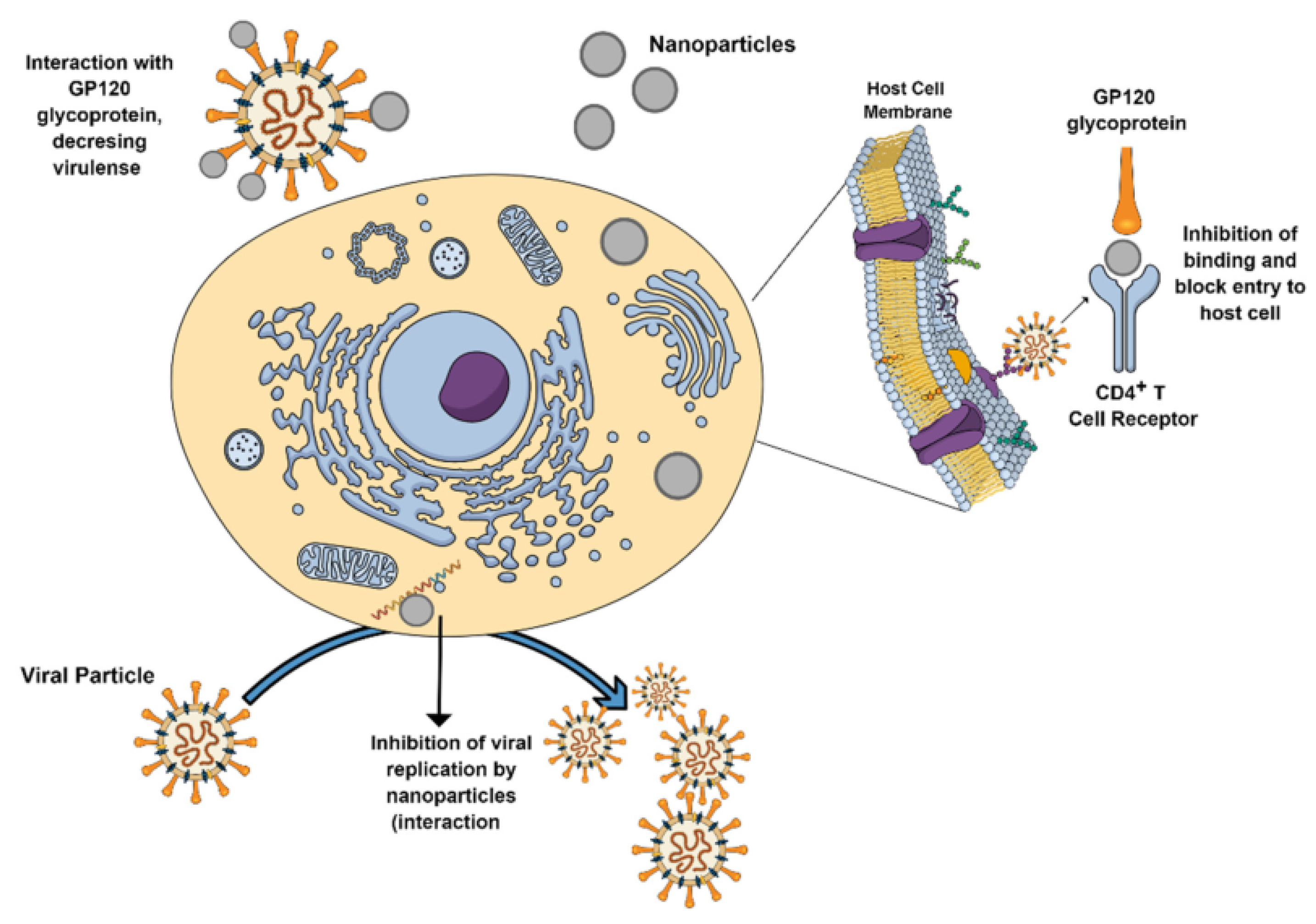 Molecules 28 00463 g011