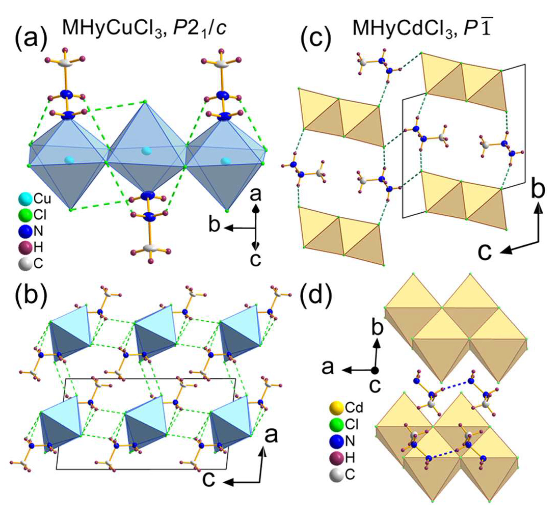 Molecules 28 00473 g001 Molecules 28 00473 g001