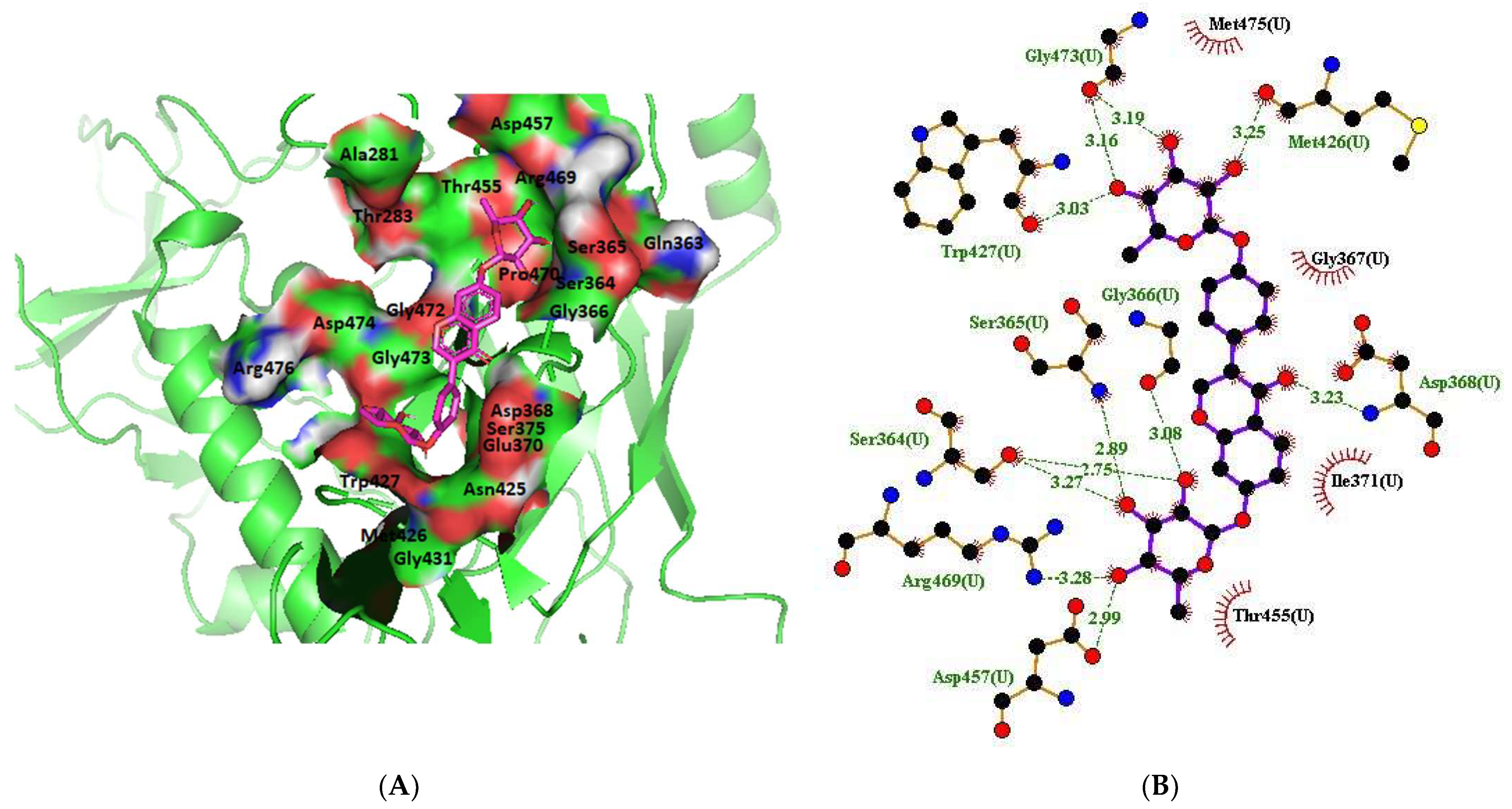 Molecules 28 00474 g004 Molecules 28 00474 g004
