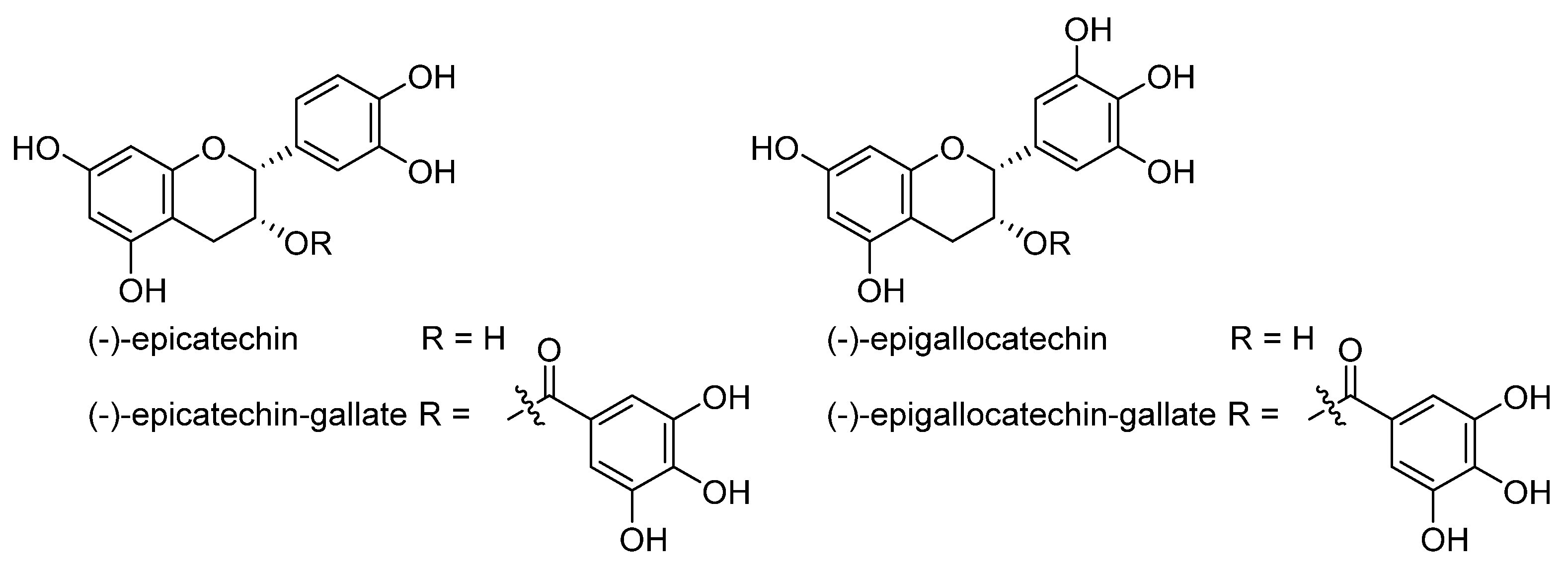 Molecules 28 00475 g006 Molecules 28 00475 g006