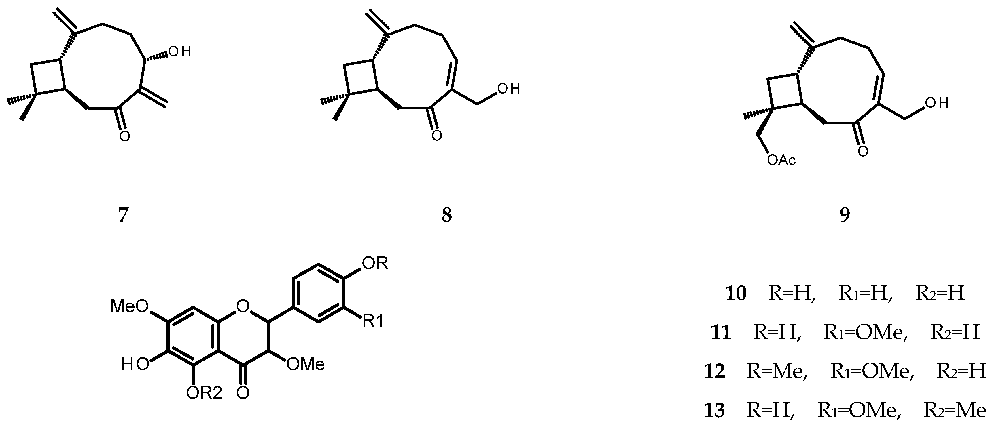 Molecules 28 00480 g002b