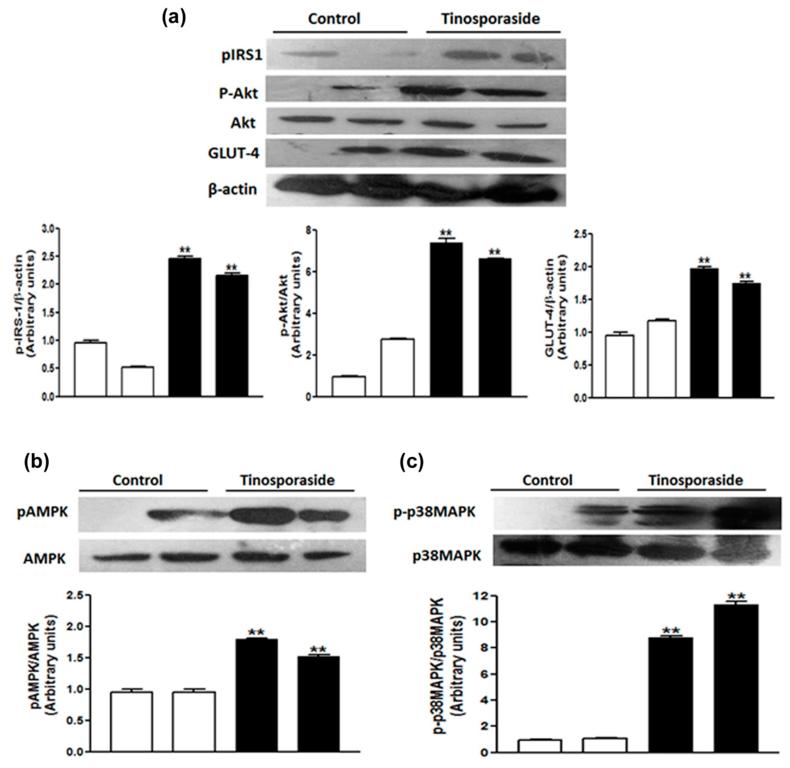 Molecules 28 00483 g008 Molecules 28 00483 g008