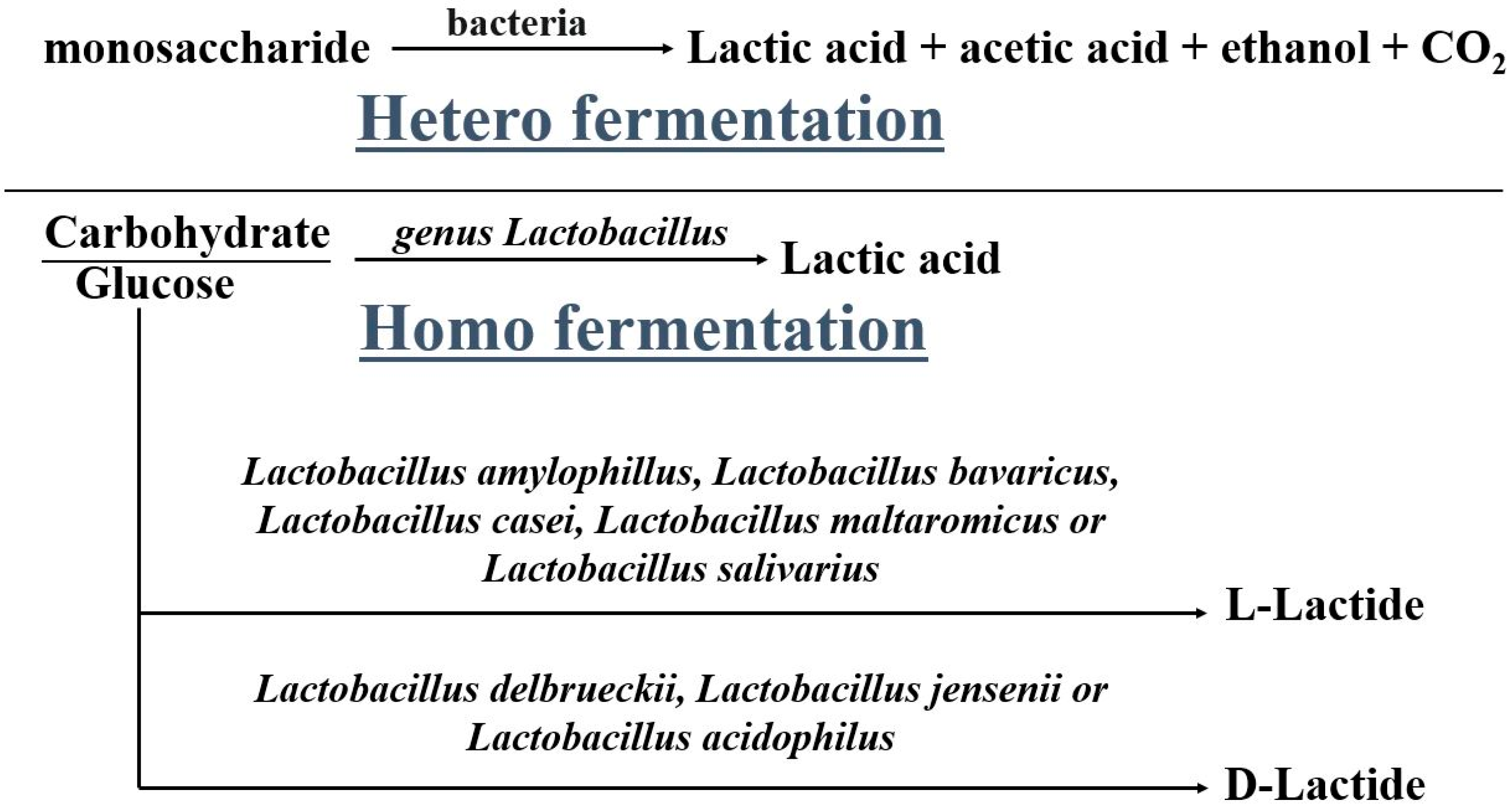 Molecules 28 00485 g001 Molecules 28 00485 g001