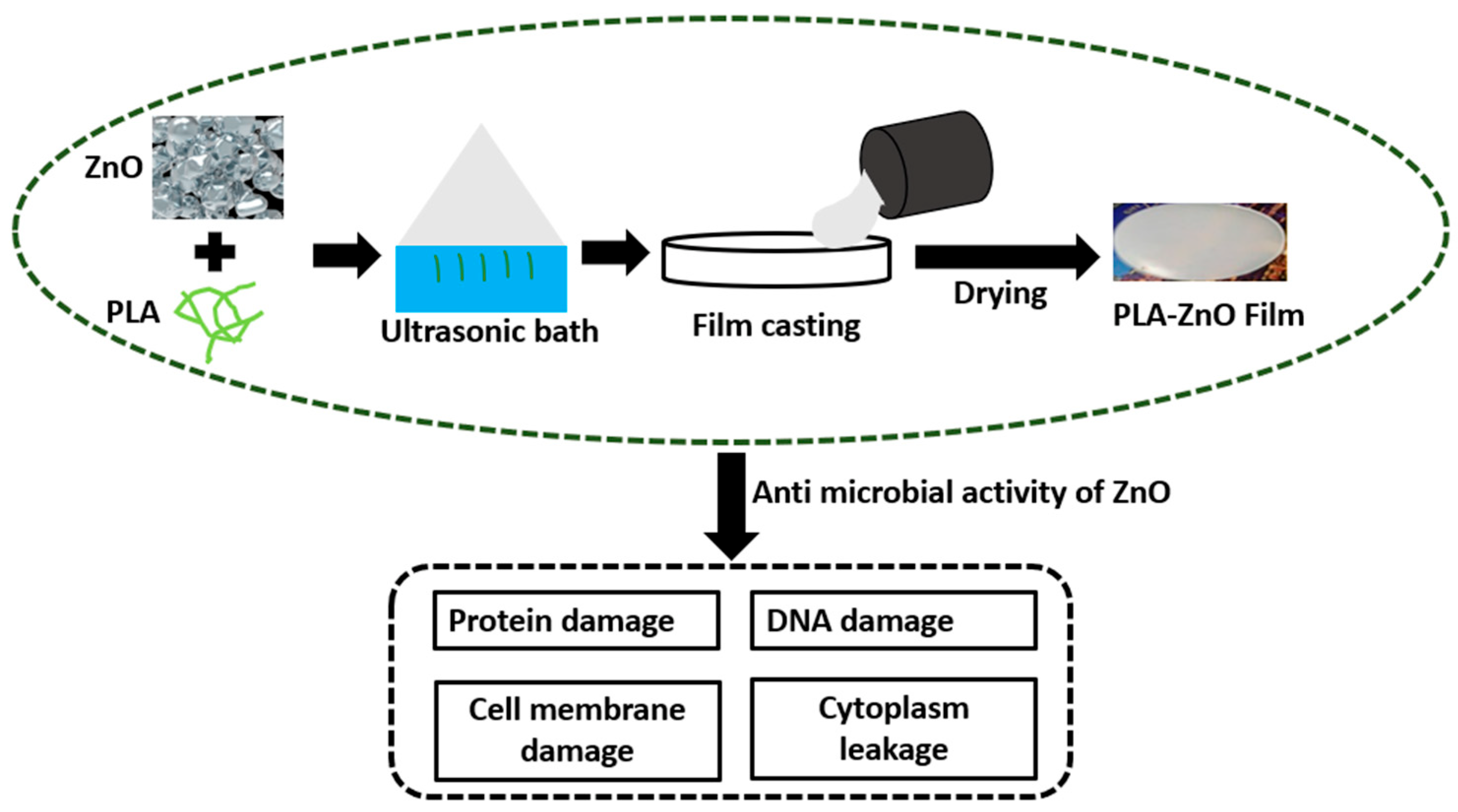 Molecules 28 00485 g010 Molecules 28 00485 g010