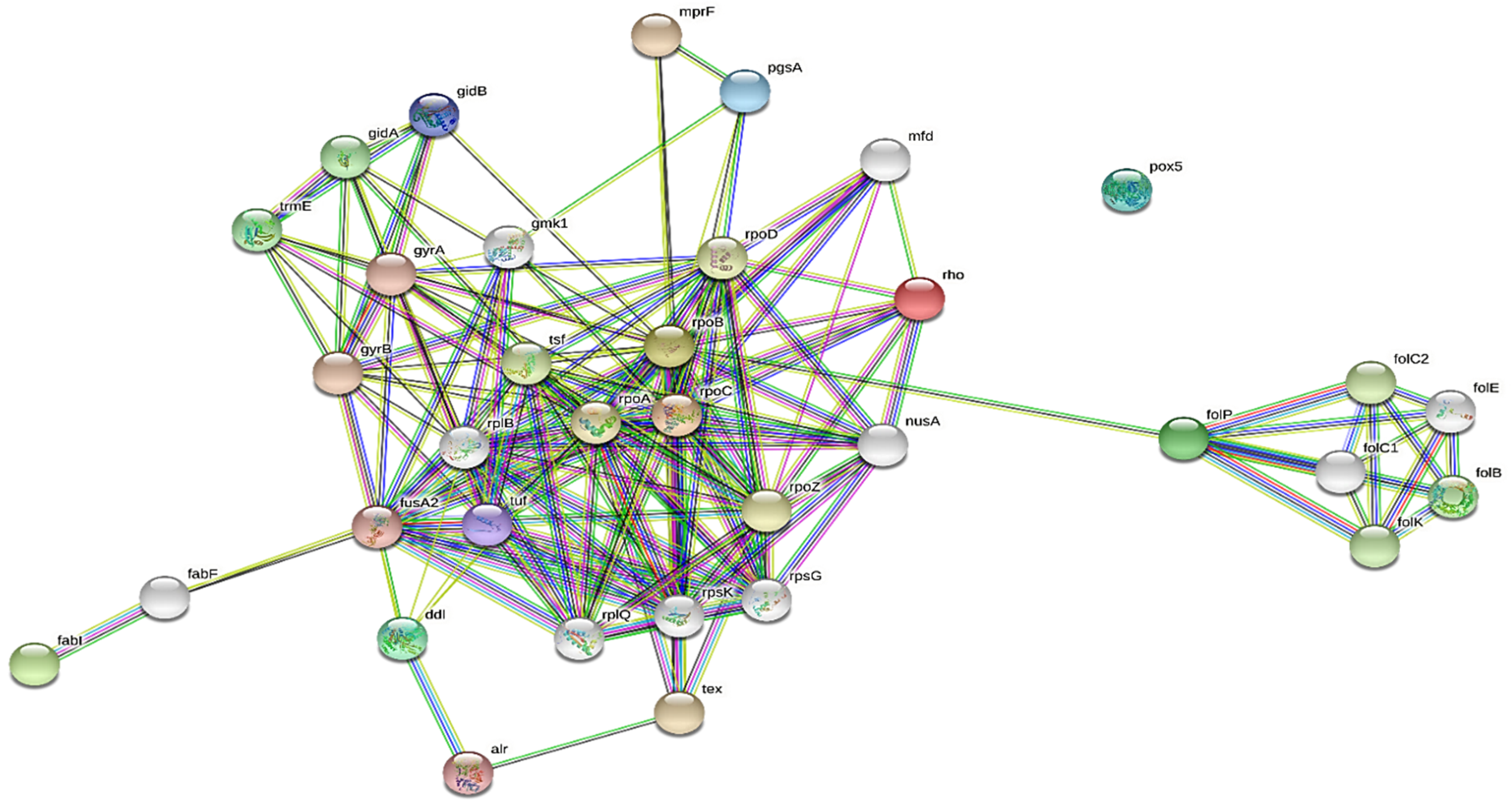 Molecules 28 00491 g006 Molecules 28 00491 g006