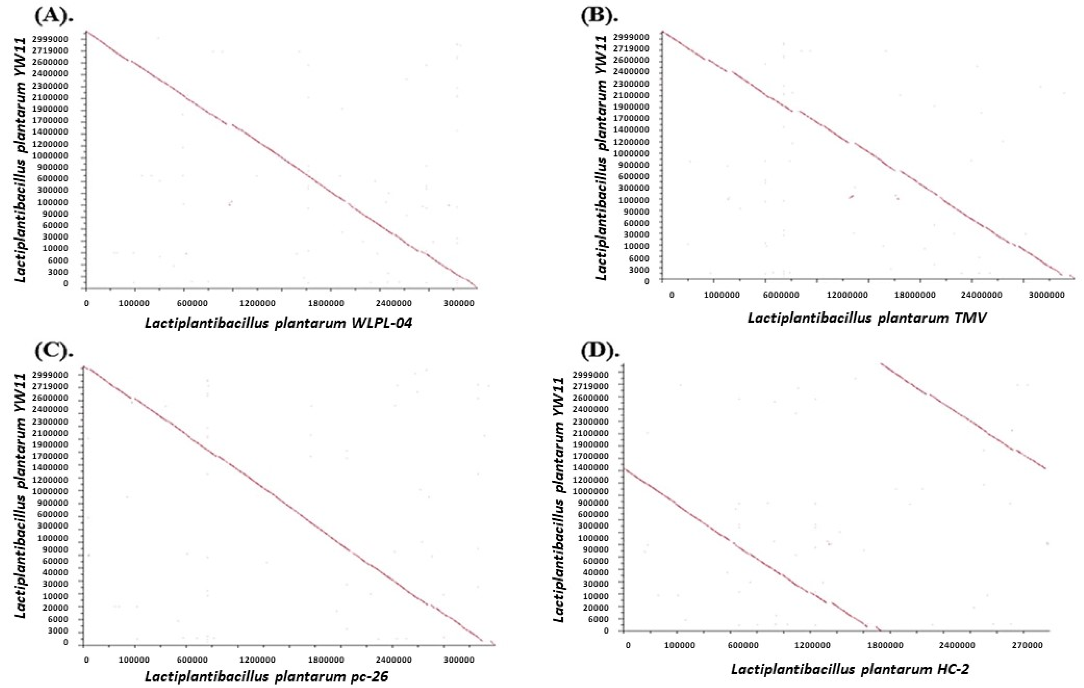 Molecules 28 00491 g007 Molecules 28 00491 g007