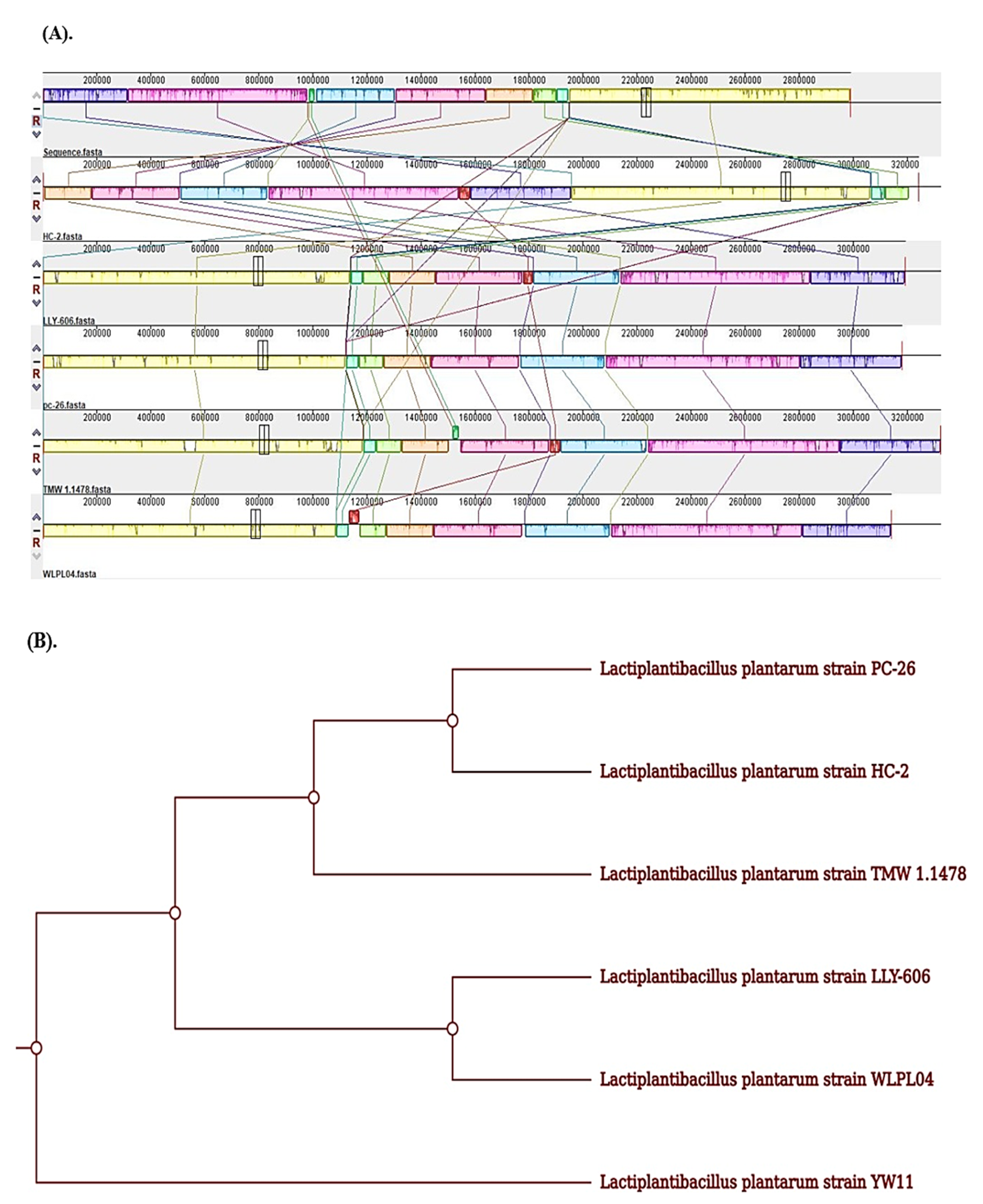 Molecules 28 00491 g008 Molecules 28 00491 g008