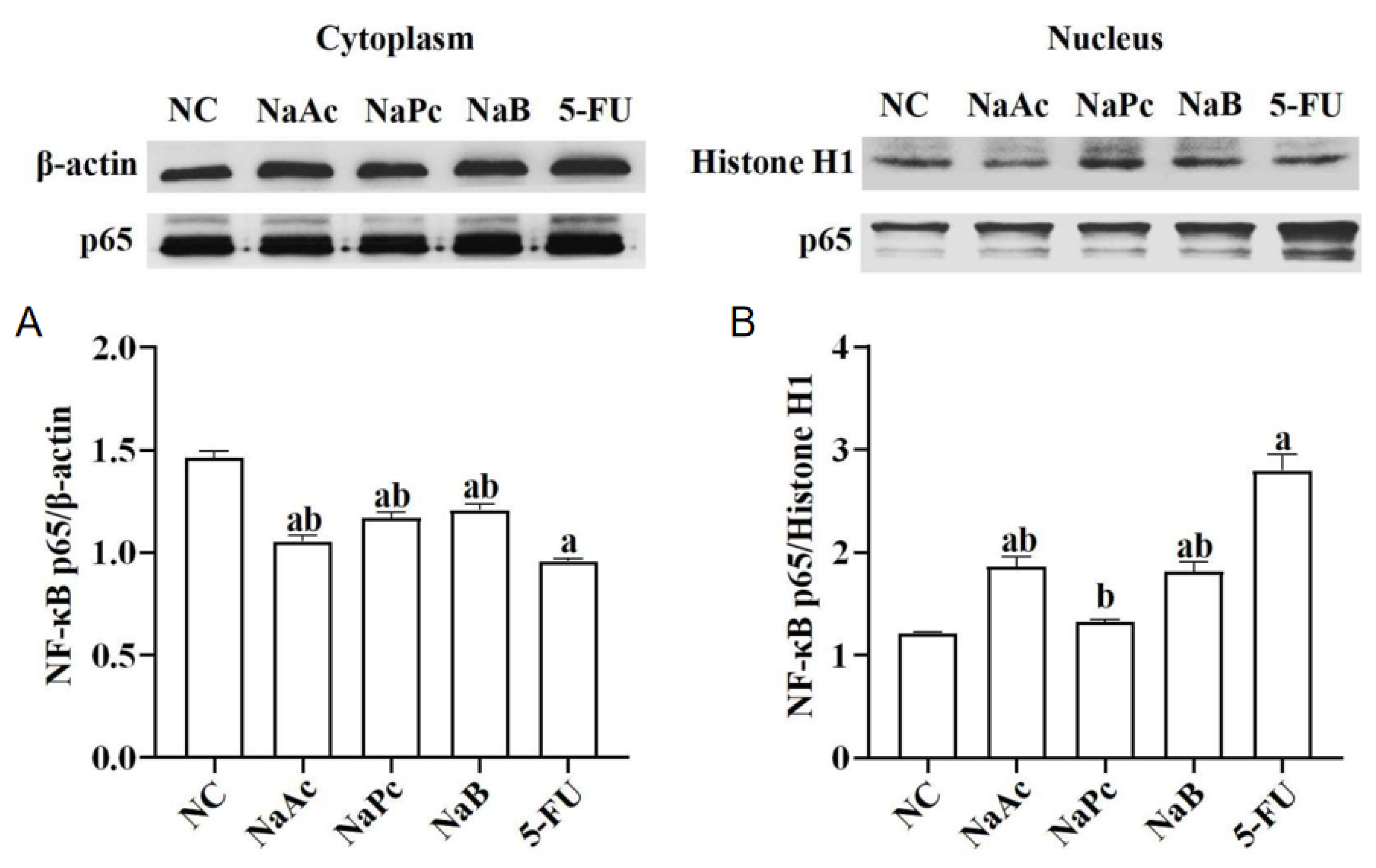 Molecules 28 00494 g002