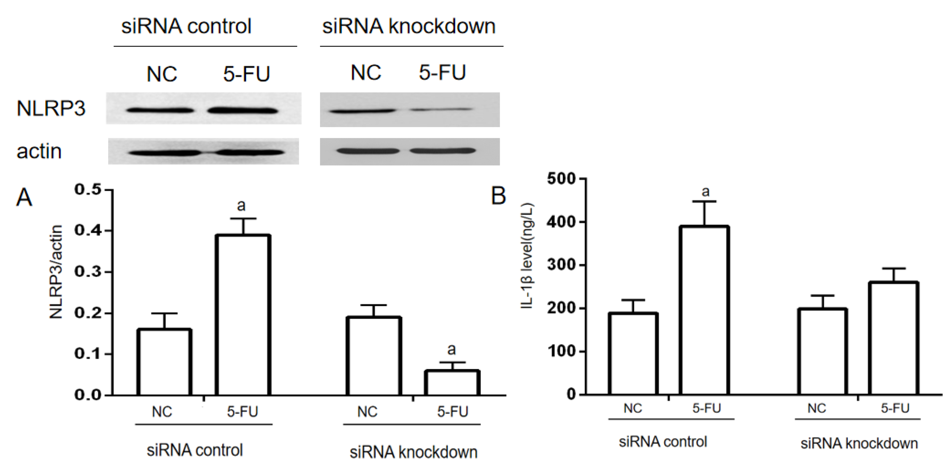 Molecules 28 00494 g004