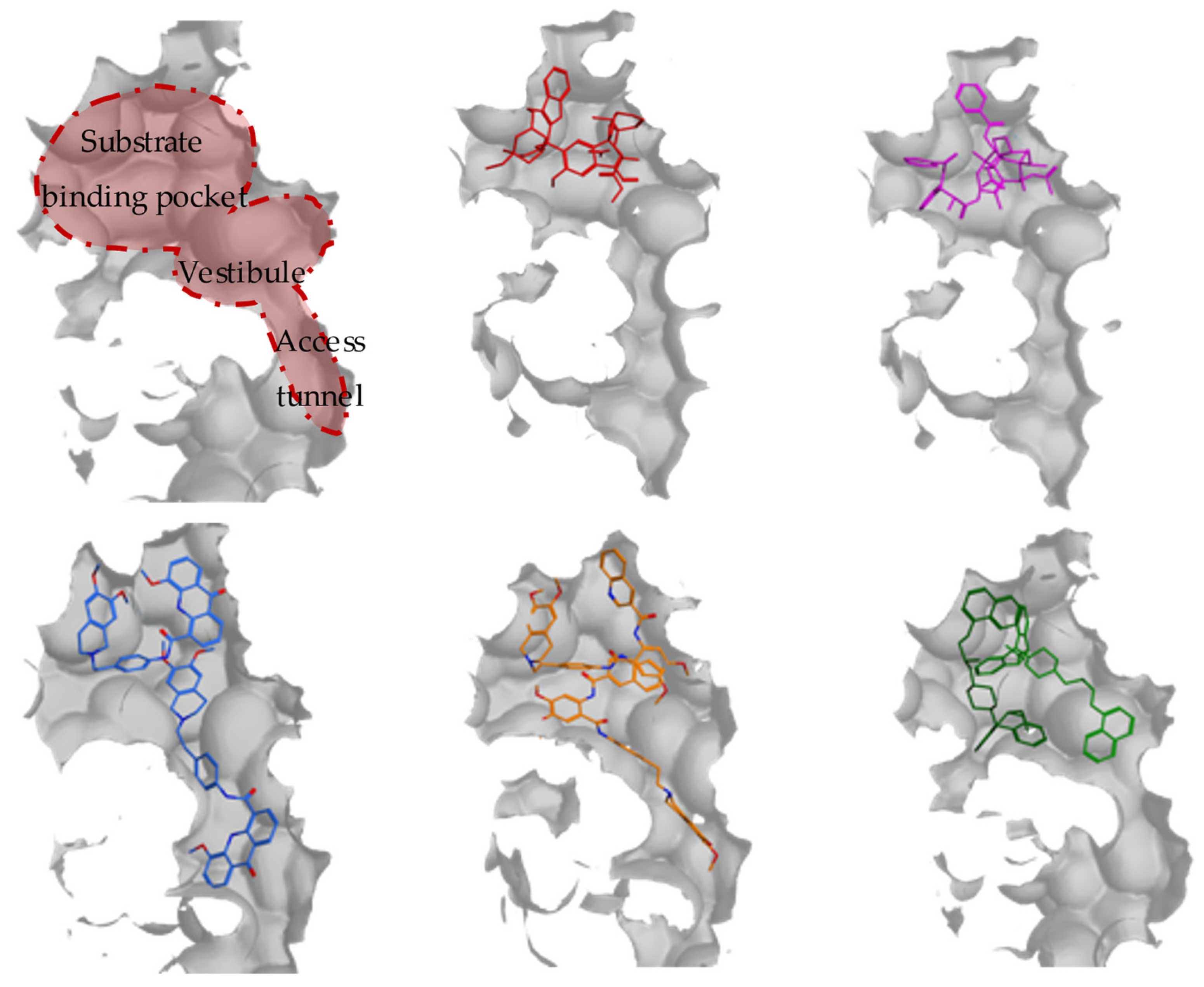 Molecules 28 00495 g001 Molecules 28 00495 g001