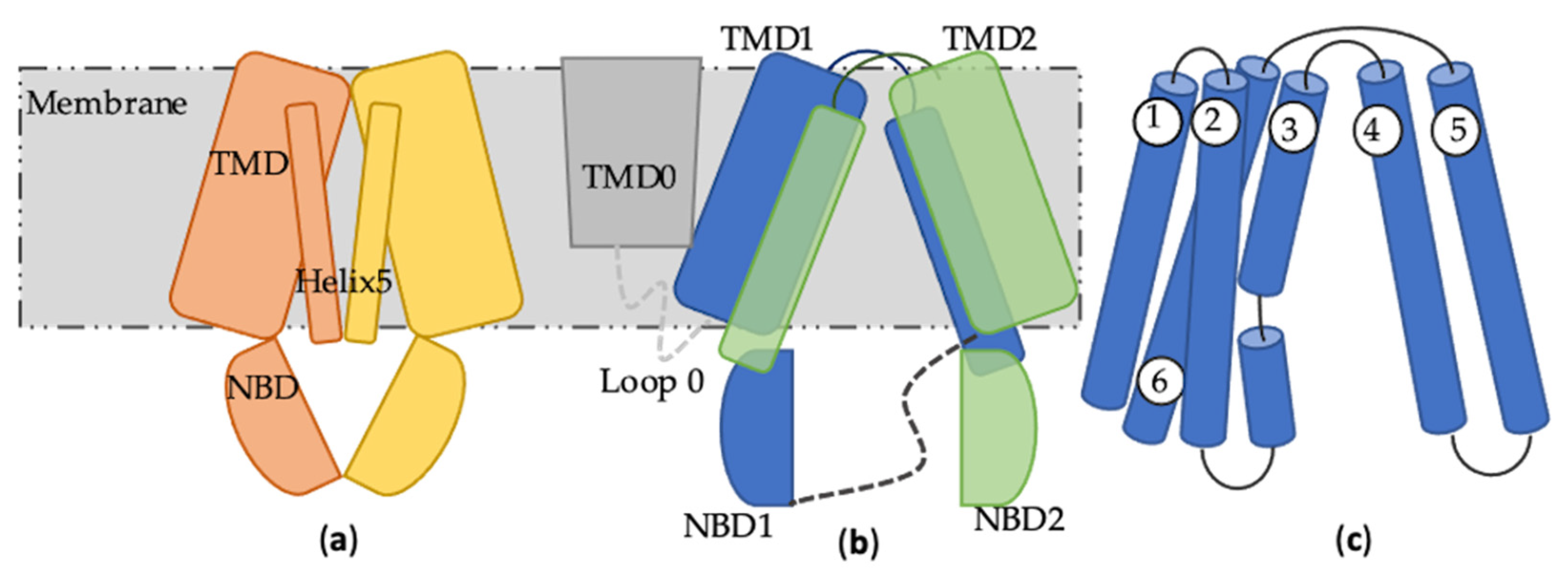 Molecules 28 00495 g002 Molecules 28 00495 g002