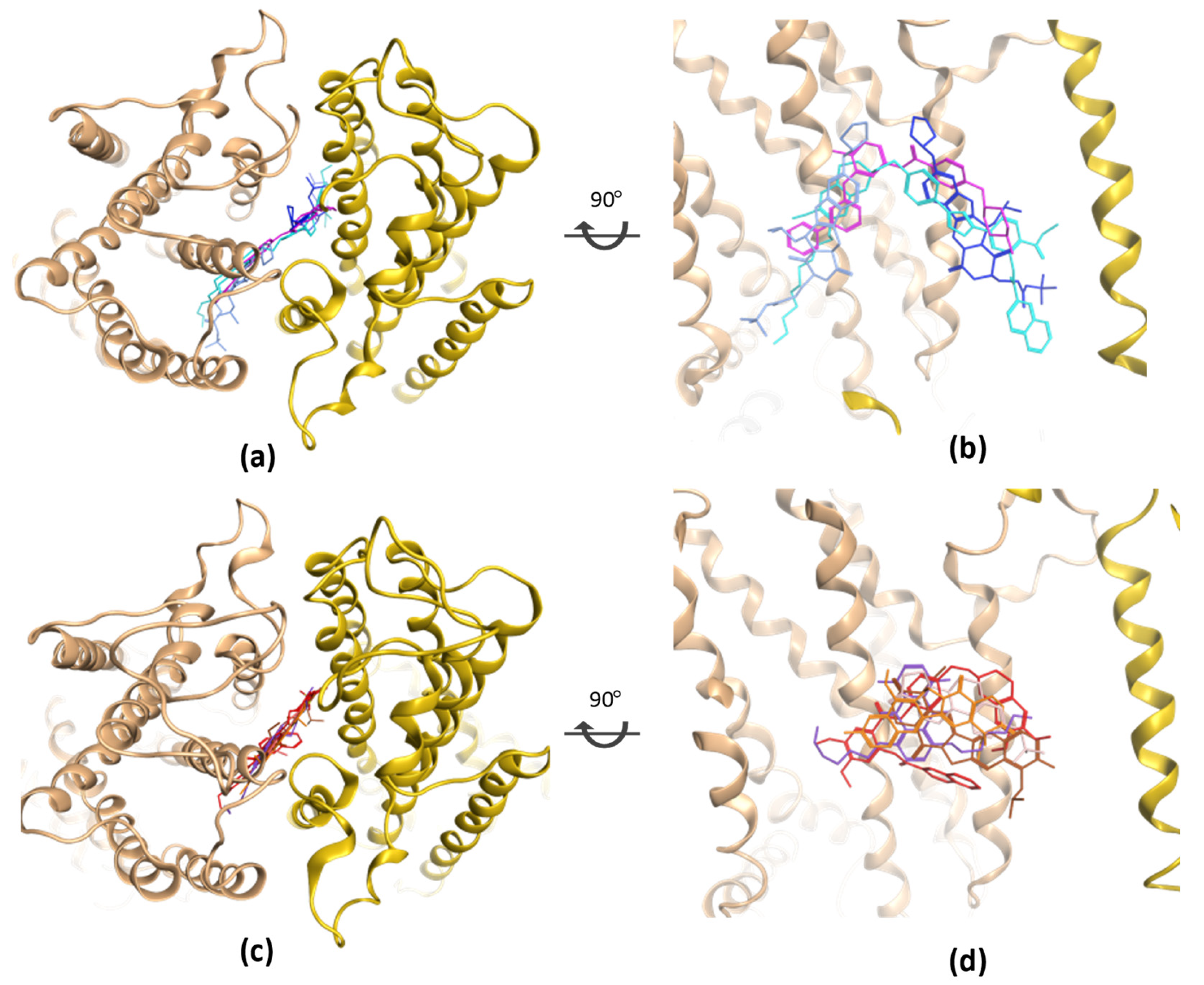 Molecules 28 00495 g004 Molecules 28 00495 g004